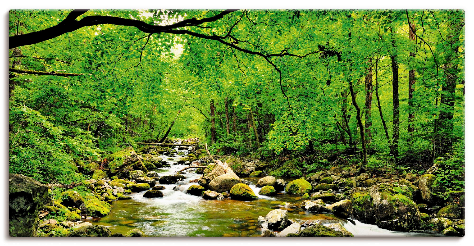 Image of Artland Wandbild "Herbstwald Fluss Smolny" Wald 1 Stk. tlg. als Leinwandbild, Poster in verschied. Grössen