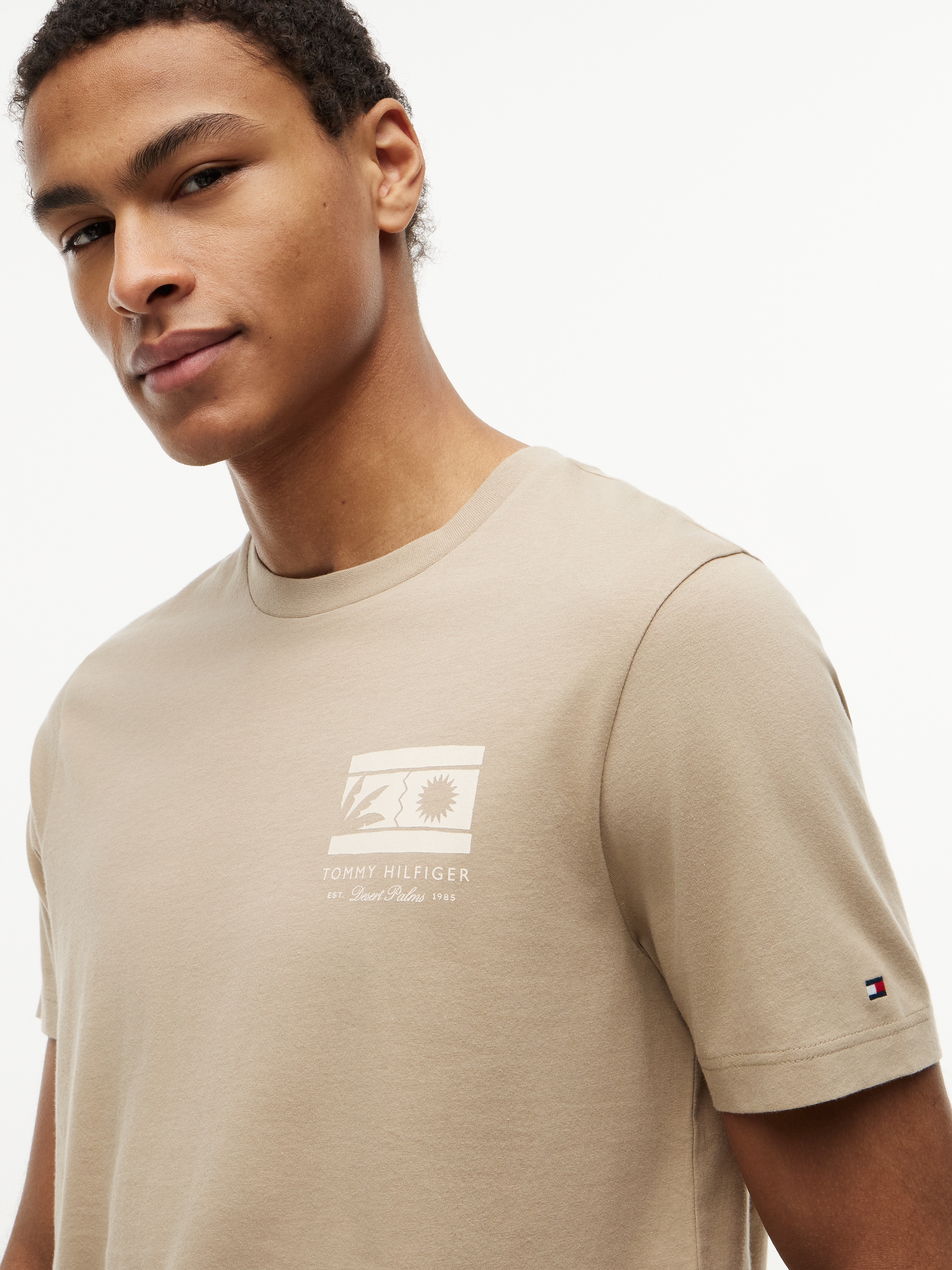 Tommy Hilfiger T-Shirt »MONO SUN GRAPHIC REGULAR TEE« aus Jersey mit Logo-Grafik