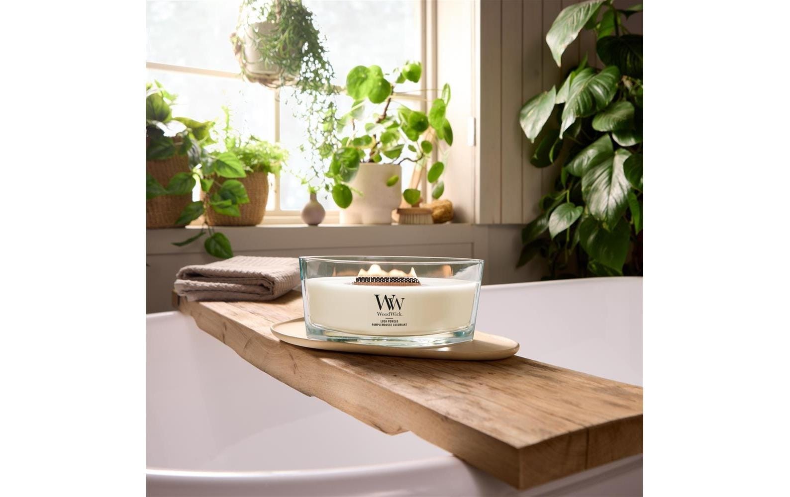 Image of Woodwick Duftkerze "Lush Pomelo Ellipse"