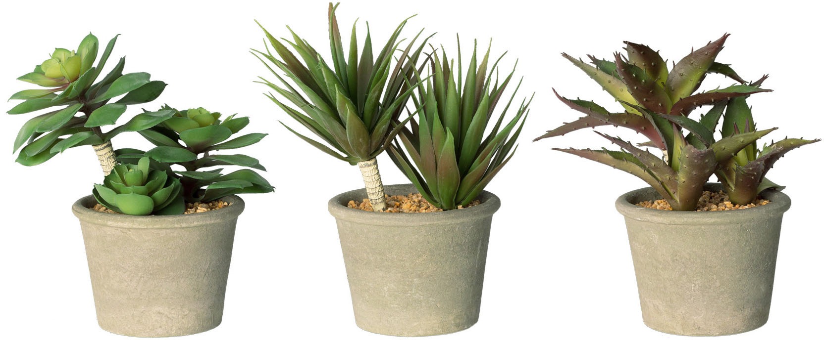 Image of my home Kunstpflanze »Romina«, (3 St.), im Topf, 3er Set bei Ackermann Versand Schweiz