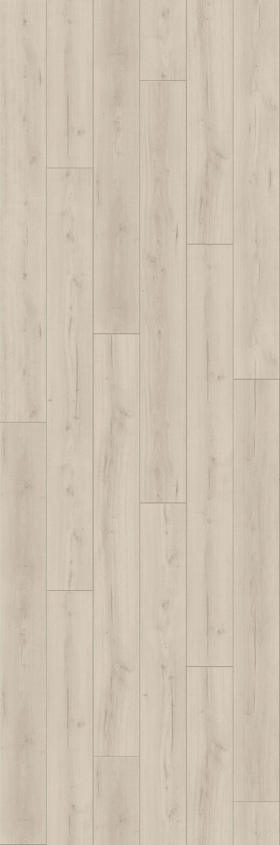 Image of PARADOR Laminat »Trendtime 6 - Eiche Loft weiss«, (Packung), spezielle Trägerplatte, 2200 x 243 mm, Stärke: 9 mm bei Ackermann Versand Schweiz