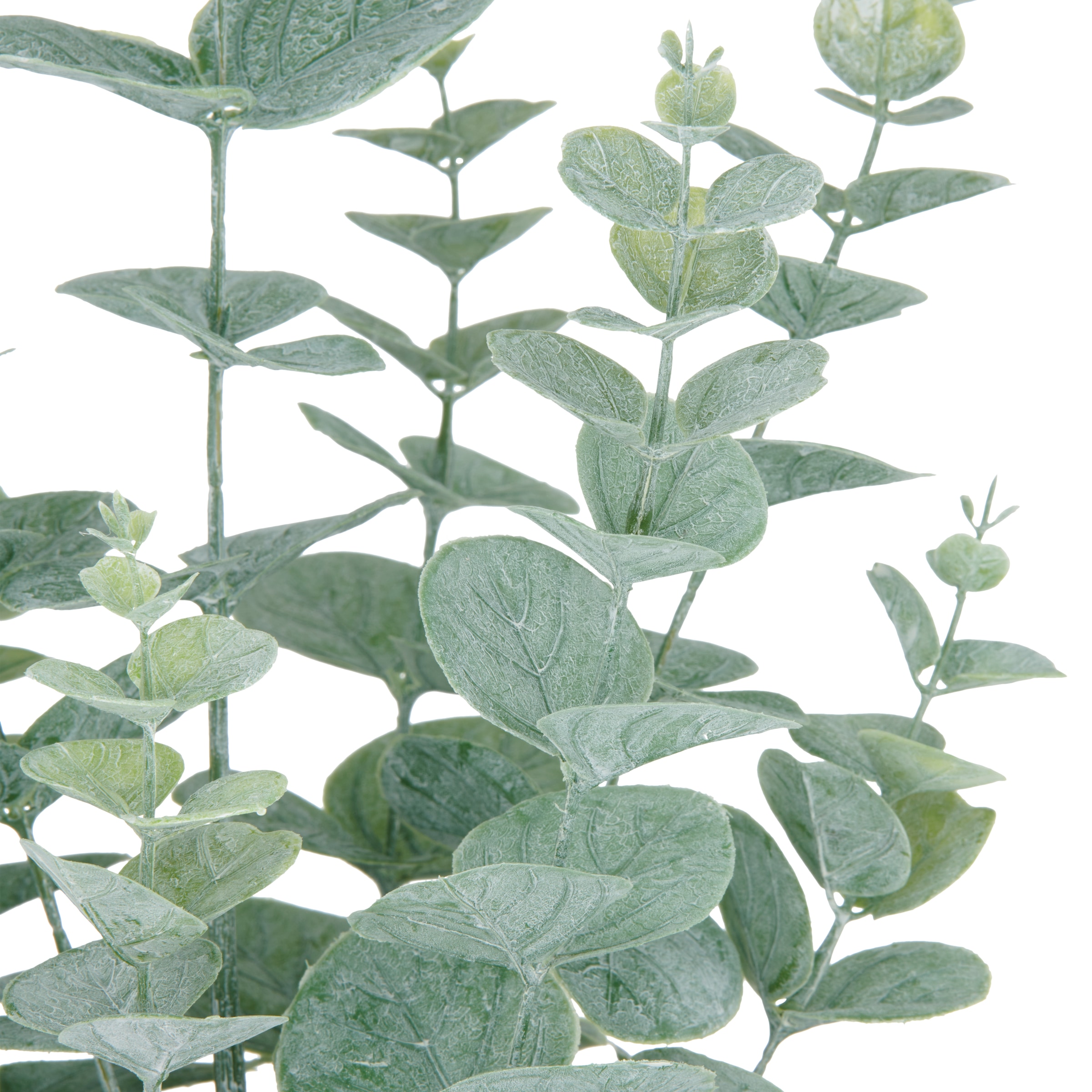 Creativ green Kunstpflanze »Eukalyptus« mit üppigem Blattwerk