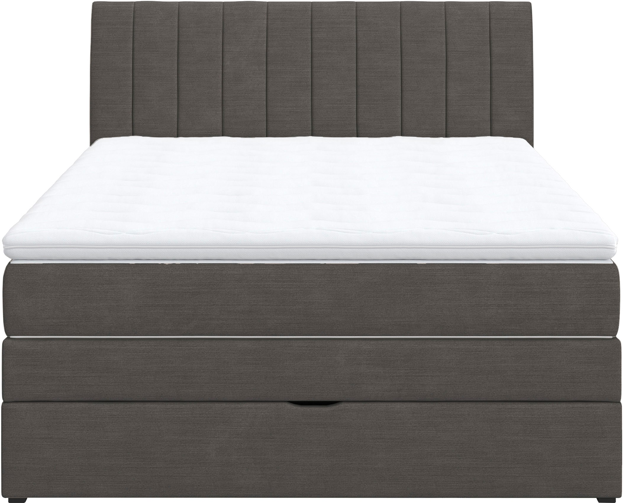 COTTA Boxspringbett »Shark inkl. Bettkasten und Topper« erhältlich in den Breiten 140x200cm, 160x200cm und 180x200cm