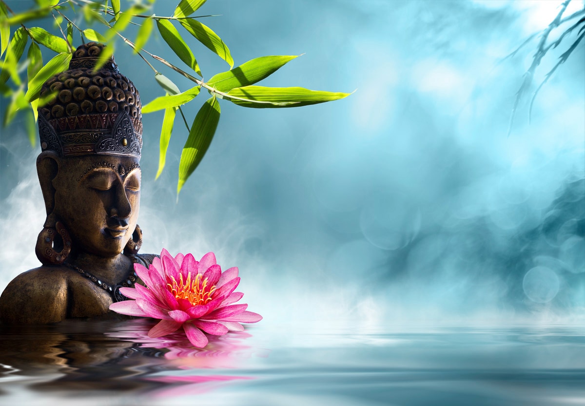 Image of Papermoon Fototapete "Buddha in Meditation."