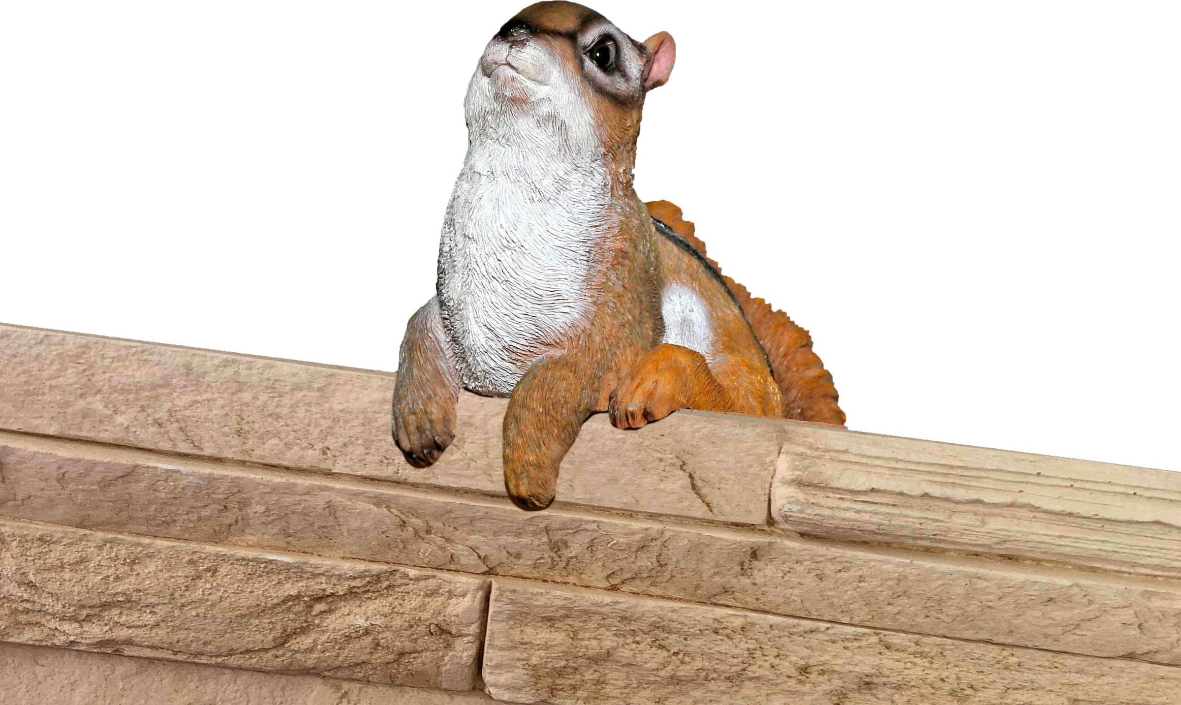 Image of Casa Collection by Jänig Tierfigur »Zaunhänger« bei Ackermann Versand Schweiz