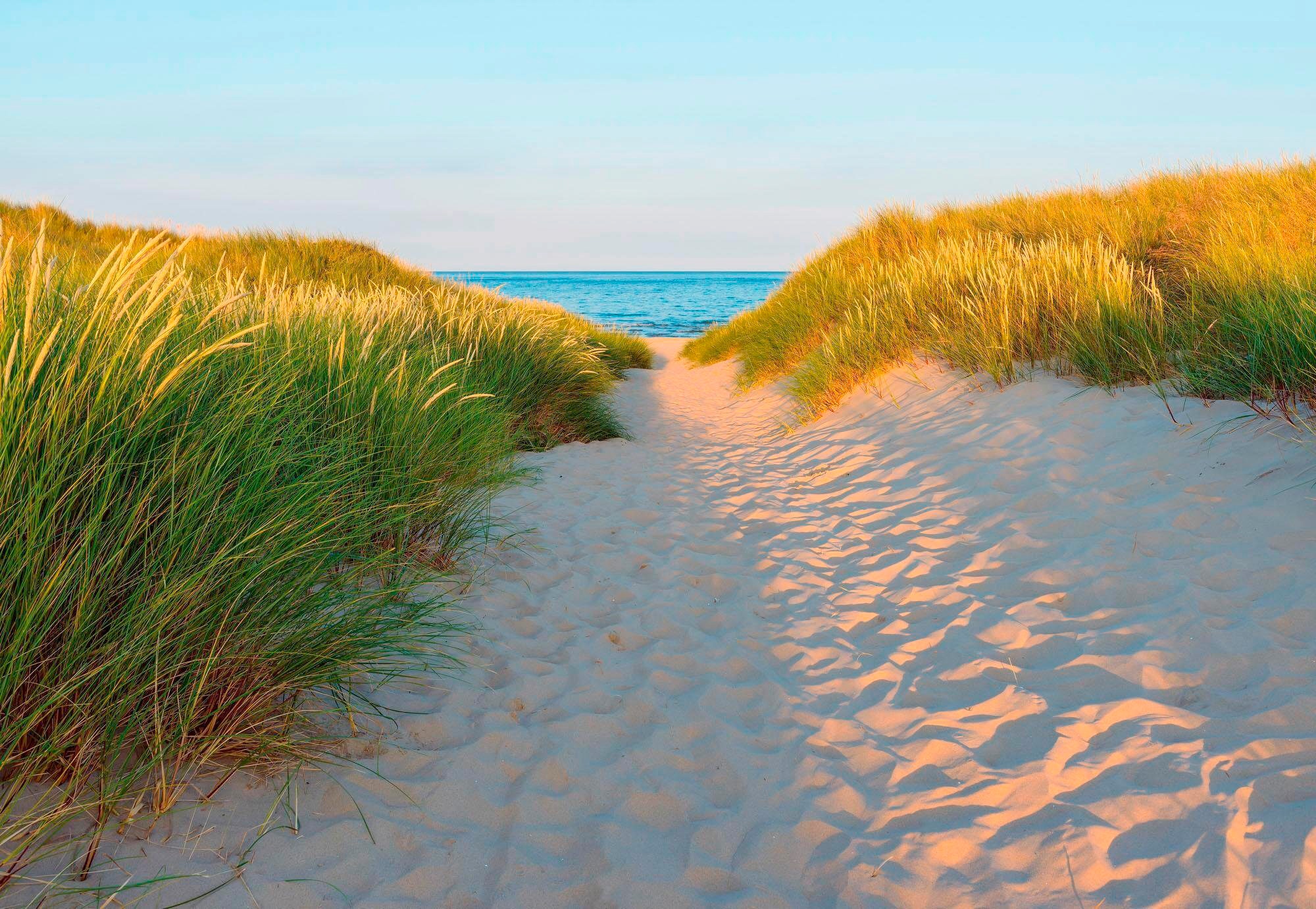 Image of Komar Fototapete "Sandy Path - Grösse 368 x 254 cm" bedruckt glatt Wohnzimmer, Schlafzimmer