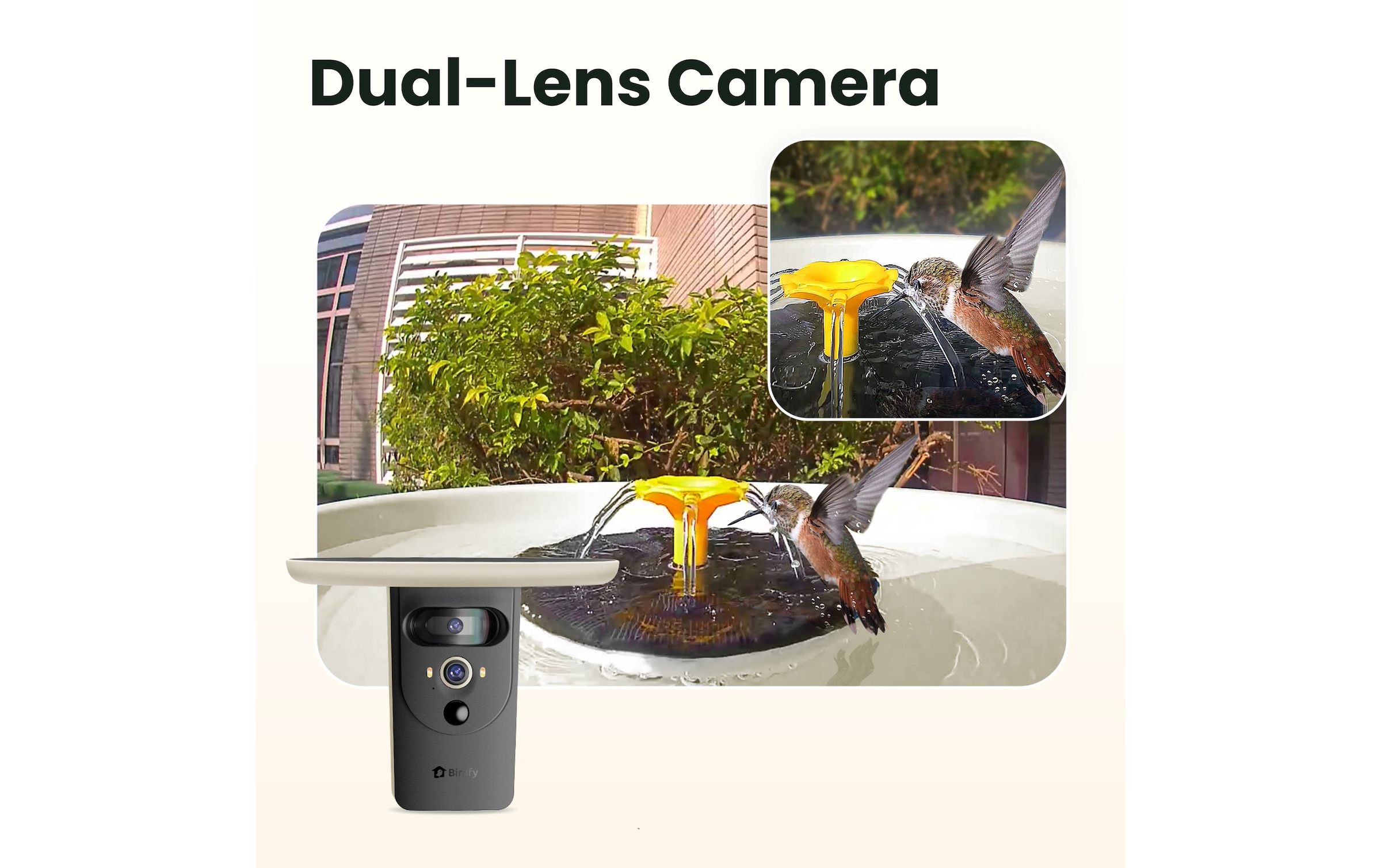 Birdfy Vogeltränke »Vogelbad mit Kamera« Solarbetrieben, KI und Video Vogelerkennung
