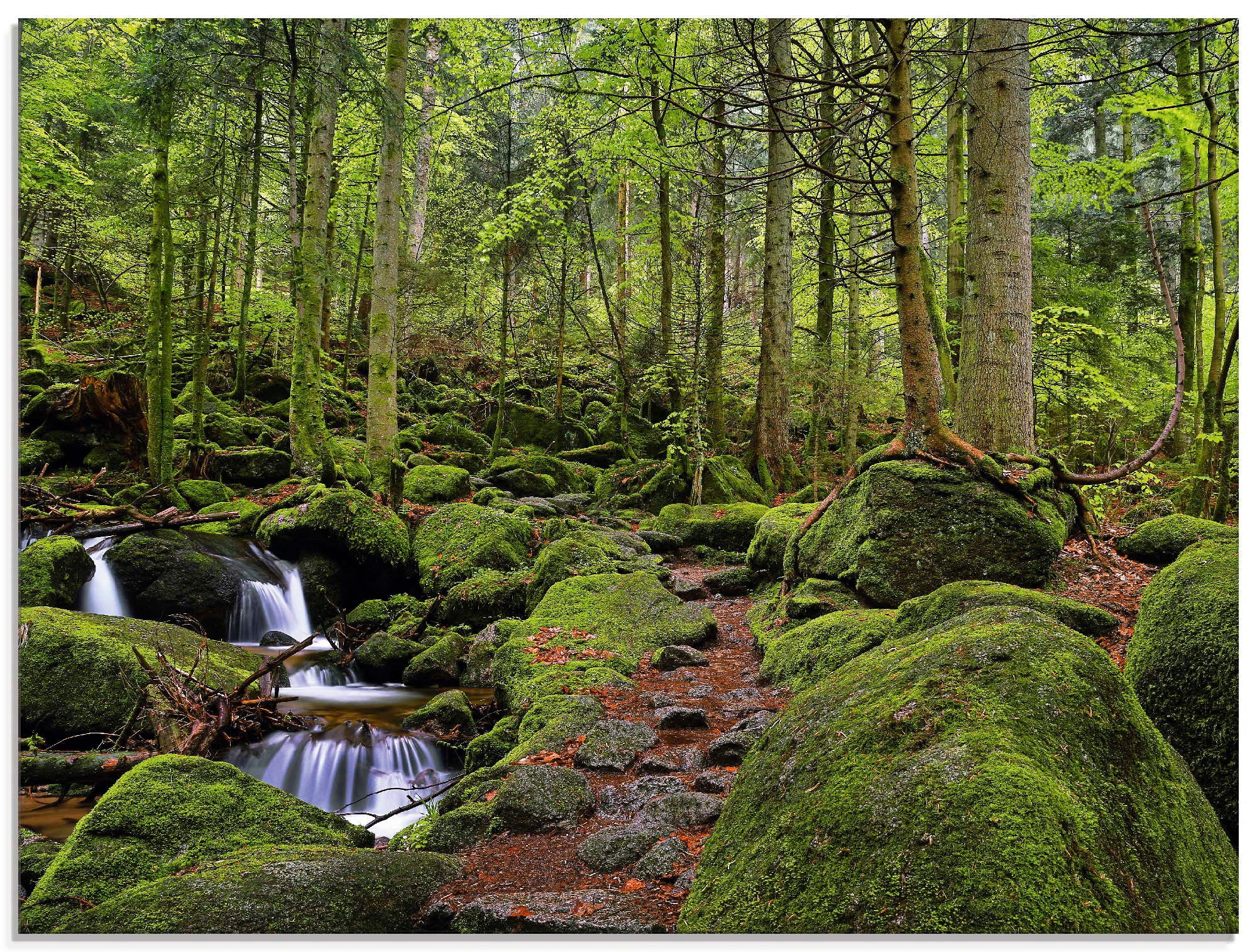 Image of Artland Glasbild "Zauberwald mit Bach" Wald 1 Stk. tlg. in verschiedenen Grössen