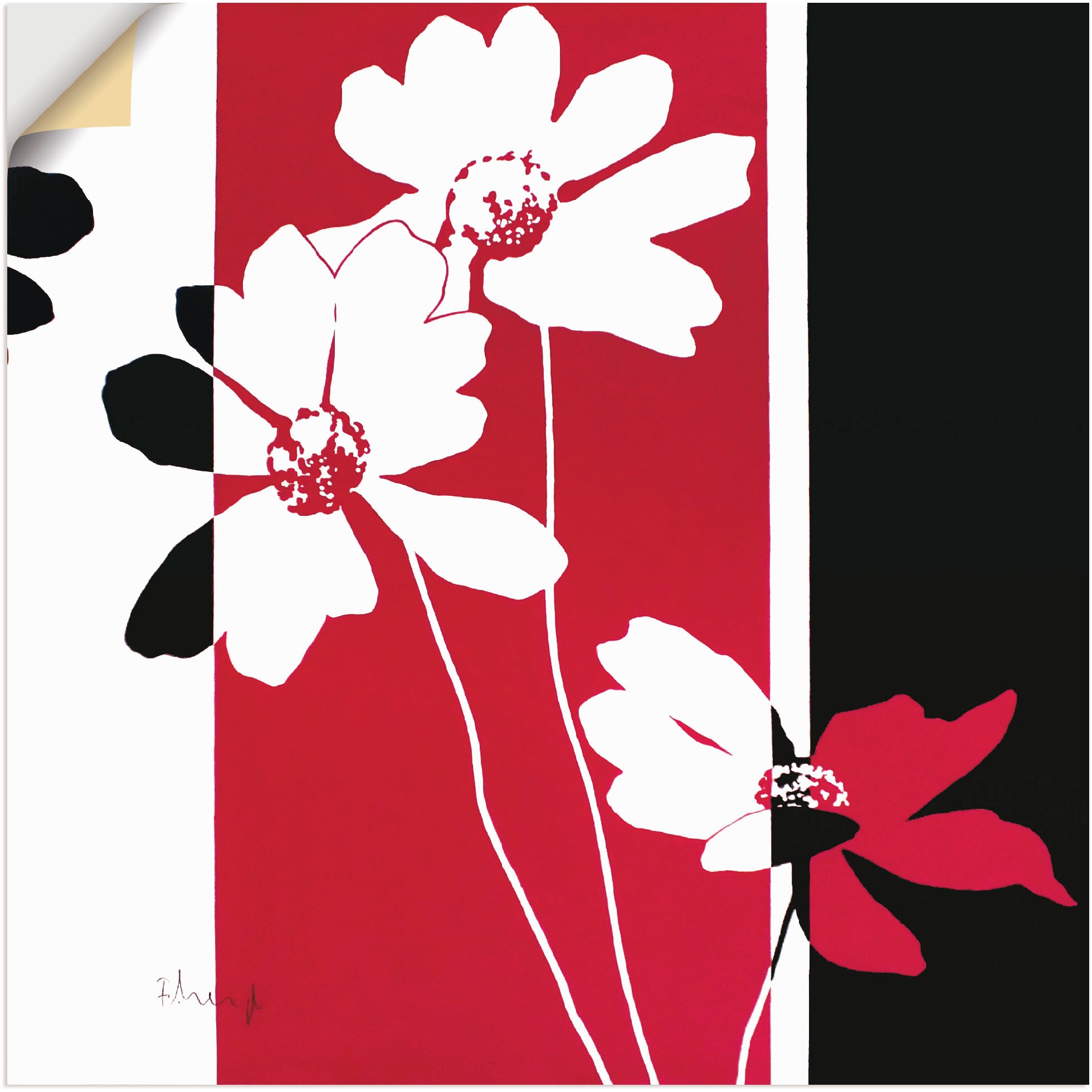 Image of Artland Wandbild »Anemonen Varition«, Blumen, (1 St.), in vielen Grössen & Produktarten -Leinwandbild, Poster, Wandaufkleber / Wandtattoo auch für Badezimmer geeignet bei Ackermann Versand Schweiz