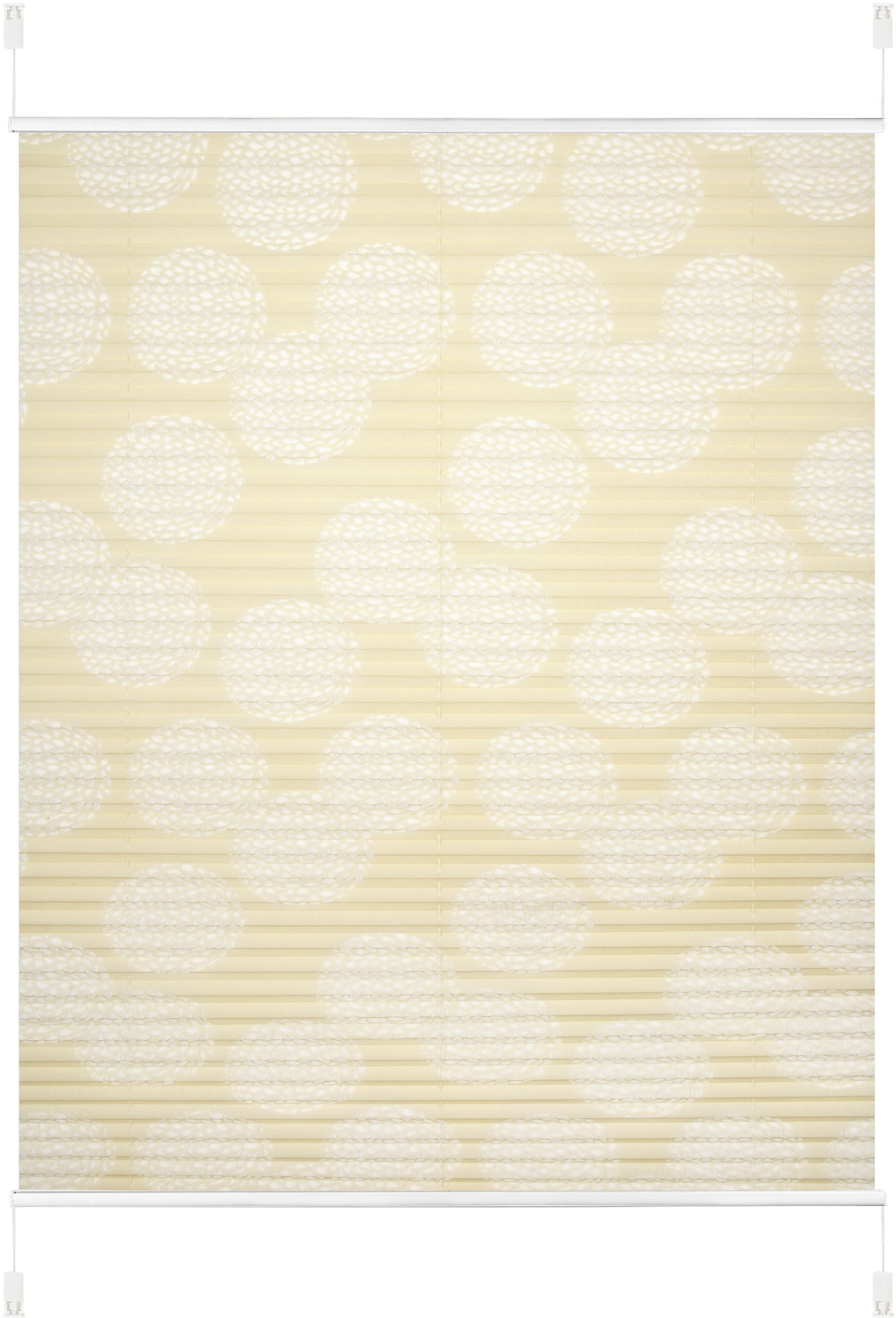 Image of my home Plissee »BELUM«, Lichtschutz, ohne Bohren, verspannt, Klemmfix, im Fixmass, Ausbrenner, Kreise, Blumen, Klemmträger bei Ackermann Versand Schweiz