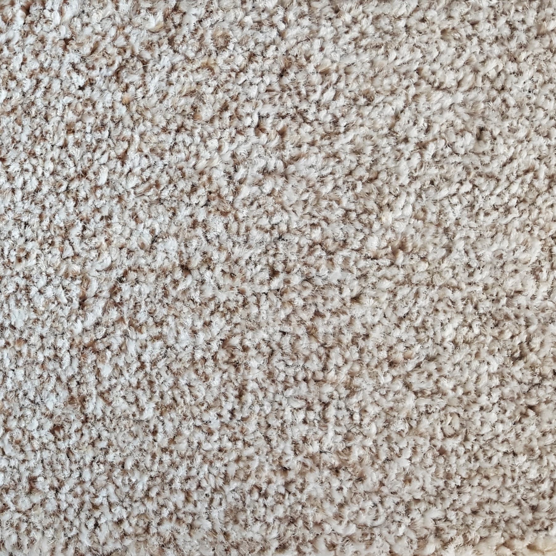 Image of Andiamo Teppichboden »Bravour«, rechteckig, 10 mm Höhe, Meterware, Breite 400 cm oder 500 cm, strapazierfähig, pflegeleicht, Wohnzimmer bei Ackermann Versand Schweiz