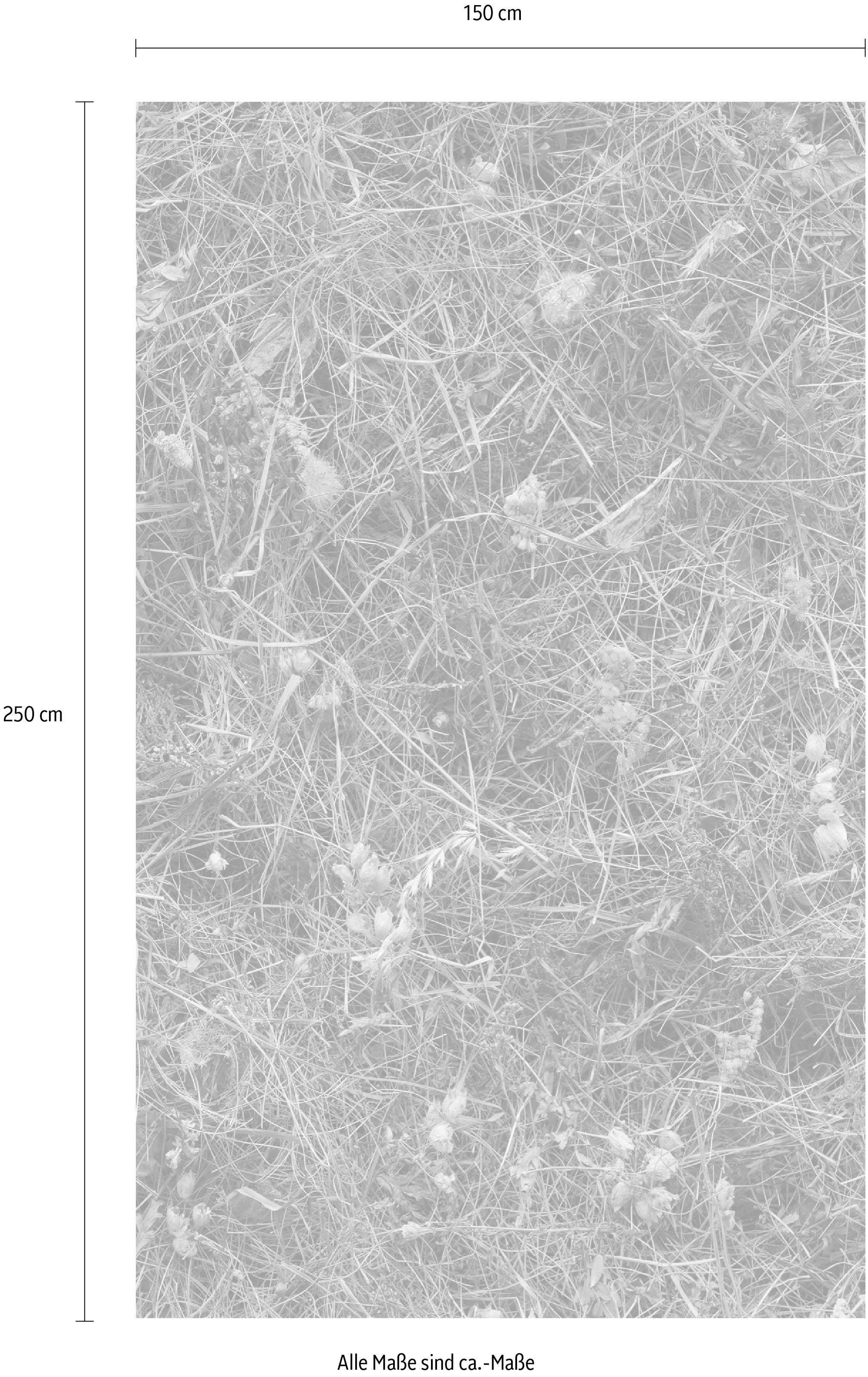 Komar Vliestapete »Digitaldruck Vlies -  Bergheu - Grösse 150 x 250 cm« bedruckt glatt Wohnzimmer, Schlafzimmer