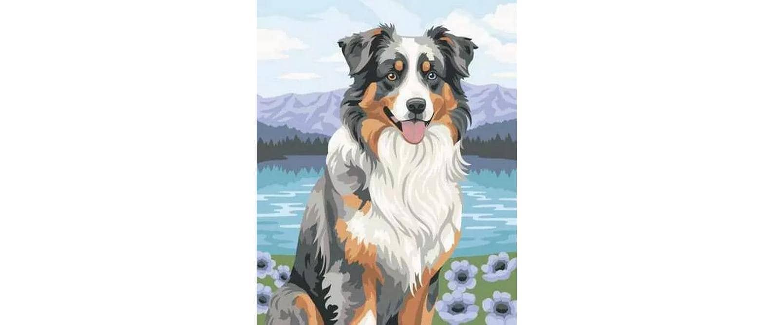 Ravensburger Peinture par numéros »Australian Shepherd Merlin 400 x 500 mm«