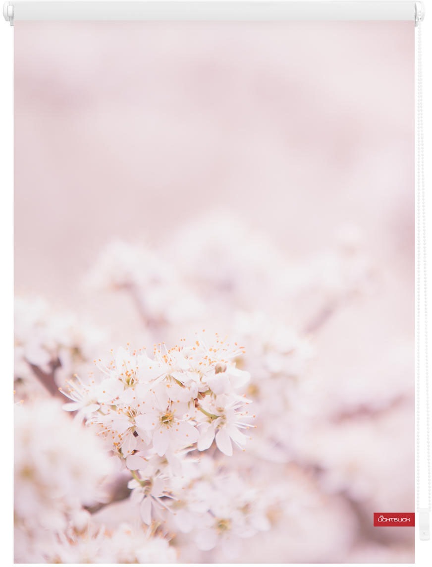 Image of LICHTBLICK ORIGINAL Seitenzugrollo "Rollo Klemmfix, ohne Bohren, Verdunkelung, Kirschblüten - Rosa Weiss" verdunkelnd Verdunkelung energiesparend freihängend