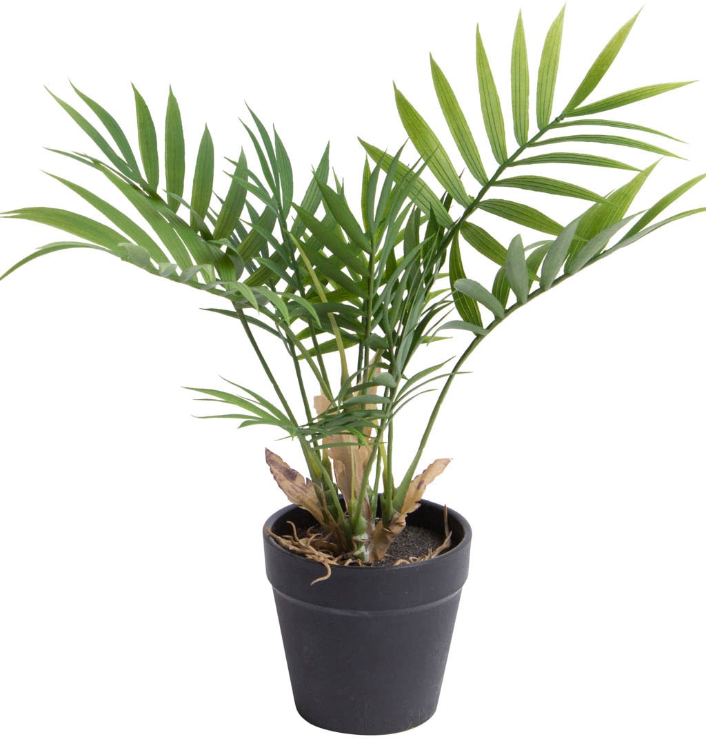 Künstliche Zimmerpflanze »Chamaedorea Palme«