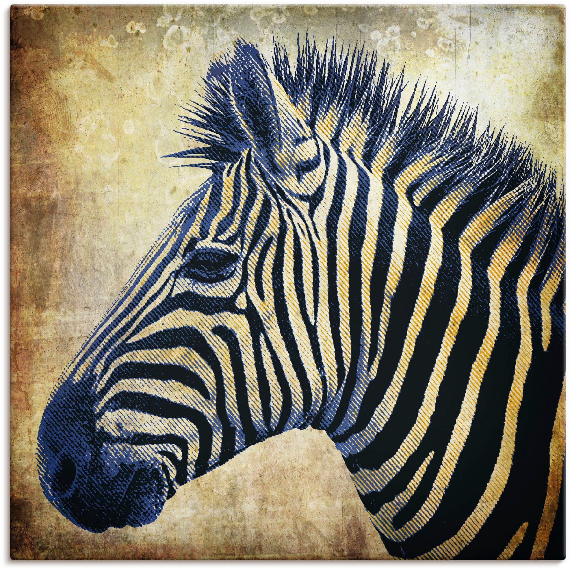 Image of Artland Leinwandbild "Zebra Porträt PopArt" Wildtiere 1 Stk. tlg. auf Holzrahmen gespannt