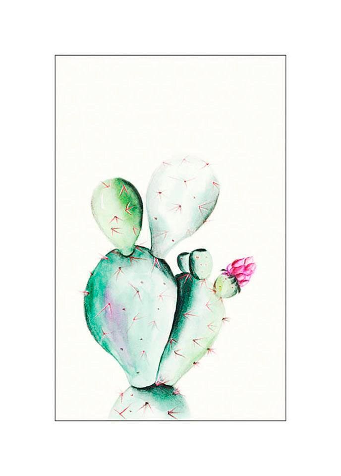 Image of Komar Bild "Prickly Pear Watercolor" Blätter Pflanzen 1 Stk. tlg. Wandbild zur Dekoration - ohne Rahmen