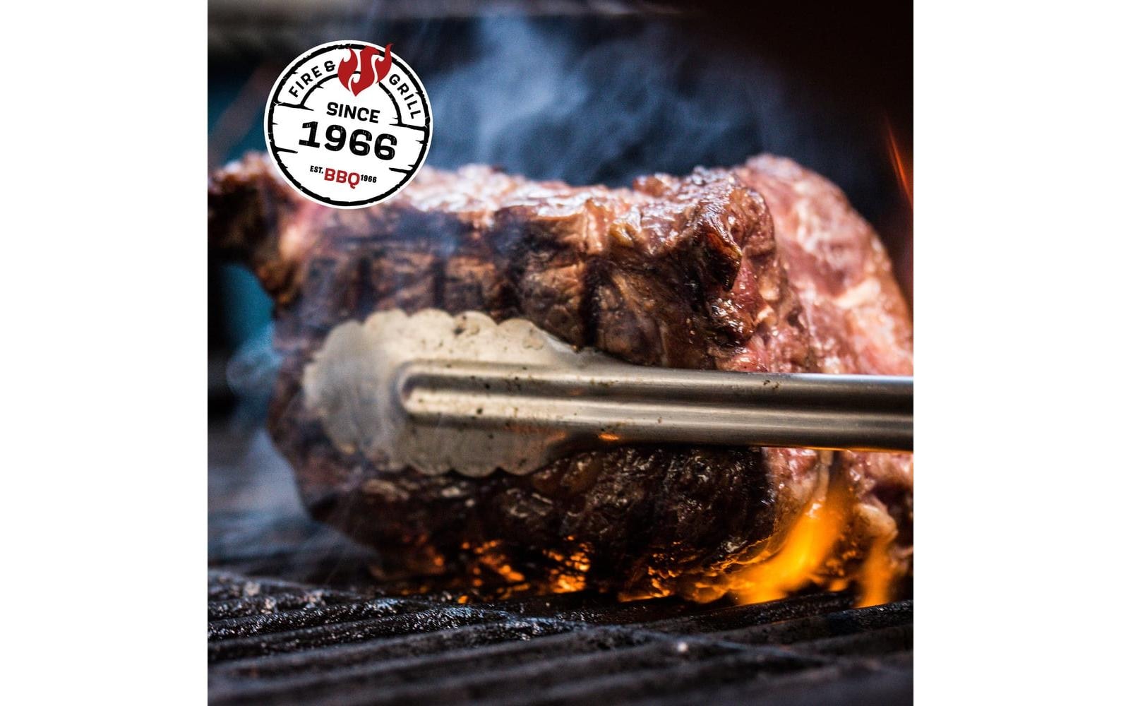 LANDMANN Gasgrill »Rexon PTS 3,1«