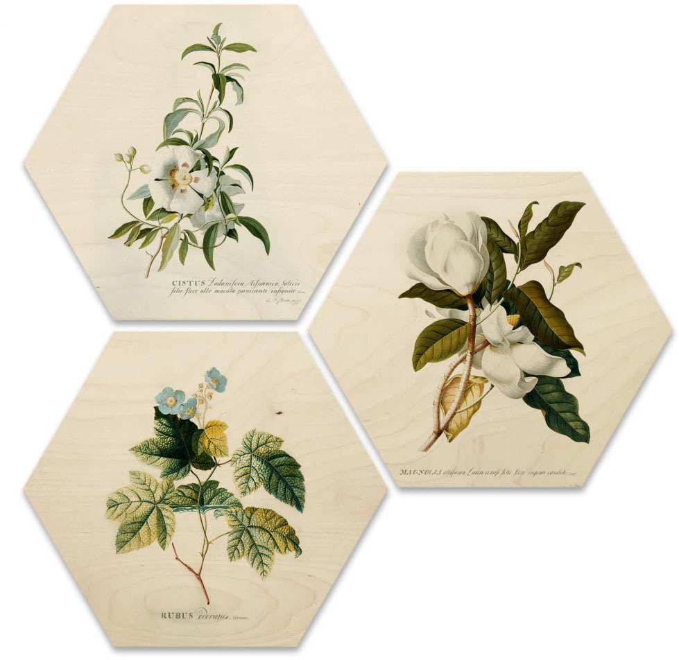 ♕ Wall-Art Mehrteilige Bilder »Botanische Collage Blumen Floral«, (Set, 3 St.)  versandkostenfrei bestellen