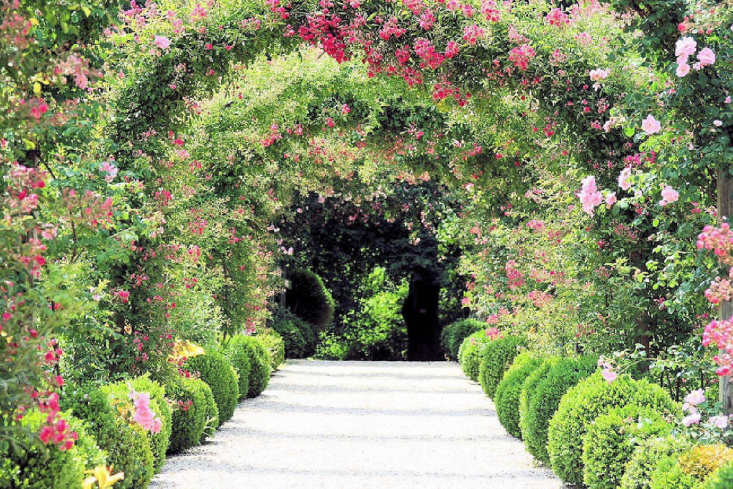 Image of Home affaire Fototapete »Rose Arch Garden« bei Ackermann Versand Schweiz