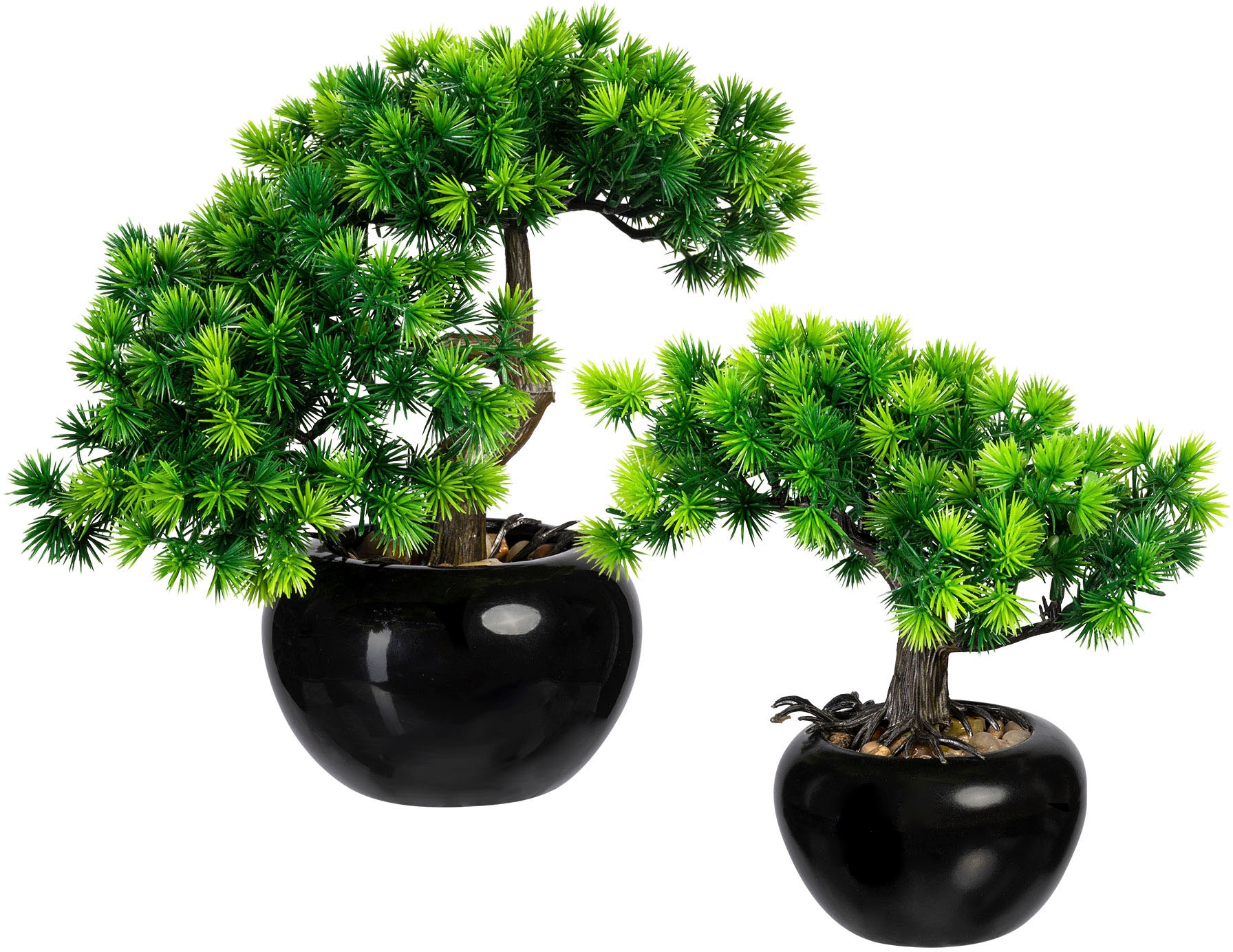 jetzt Set »Bonsai Kunstbonsai green Creativ kaufen 2er im Keramiktopf, Lärche«,