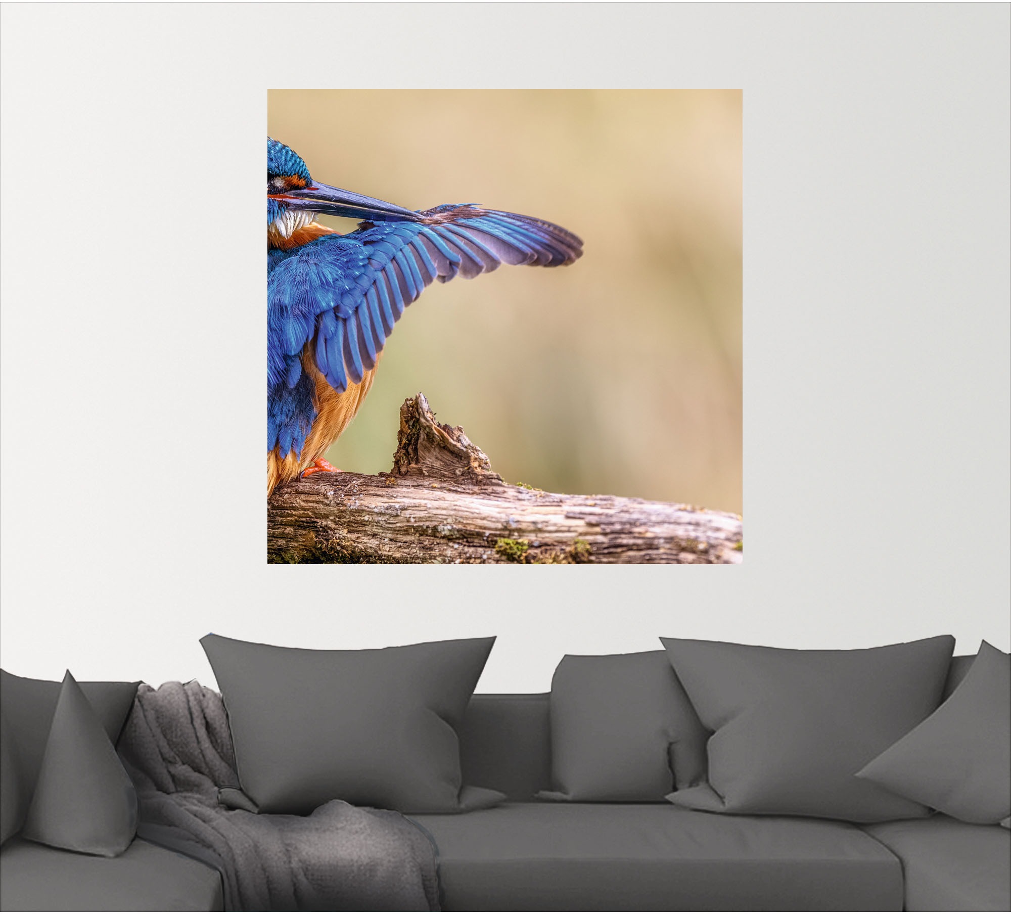 Artland Alu-Dibond-Druck »Eisvogel II«, Vogelbilder, (1 St.), selbstklebend