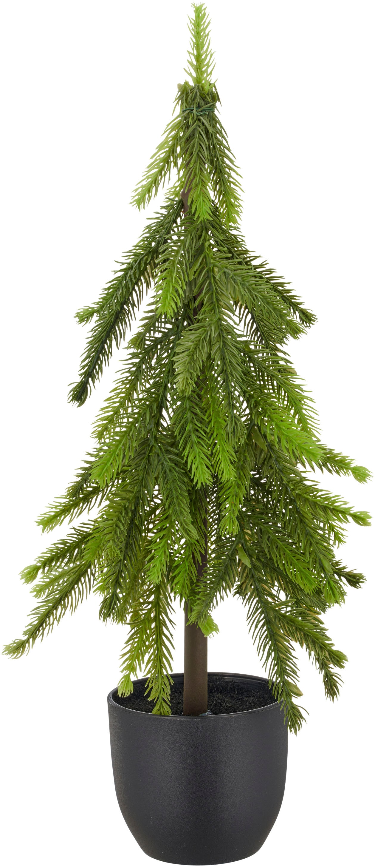 Creativ green Winterliche Kunstpflanze »Tannenbäumchen« im Set aus 2 Grössen