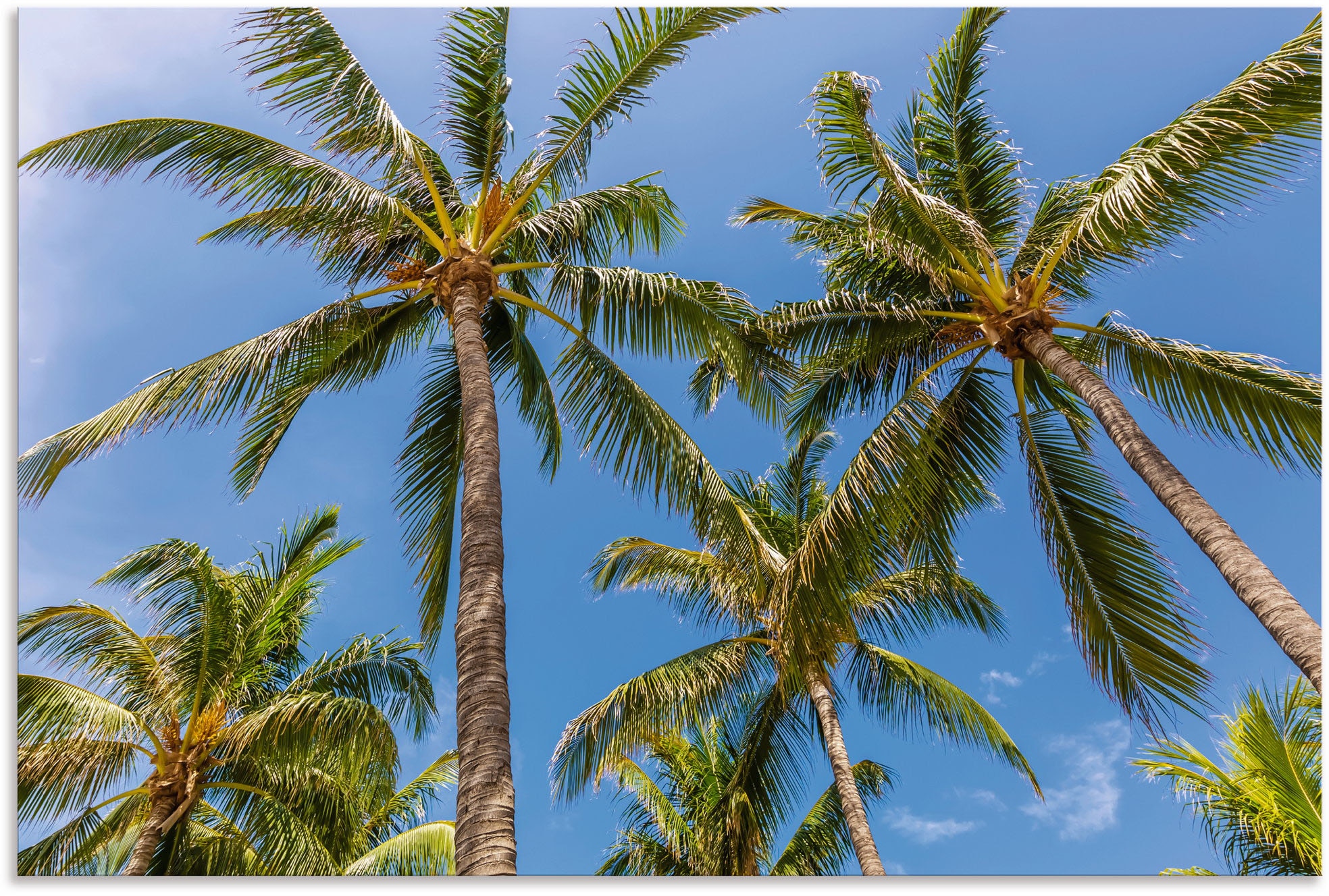 Artland Wandbild »Palmen am Strand«, Strandbilder, (1 St.), als Alubild,  Leinwandbild, Wandaufkleber oder Poster in versch. Grössen jetzt kaufen