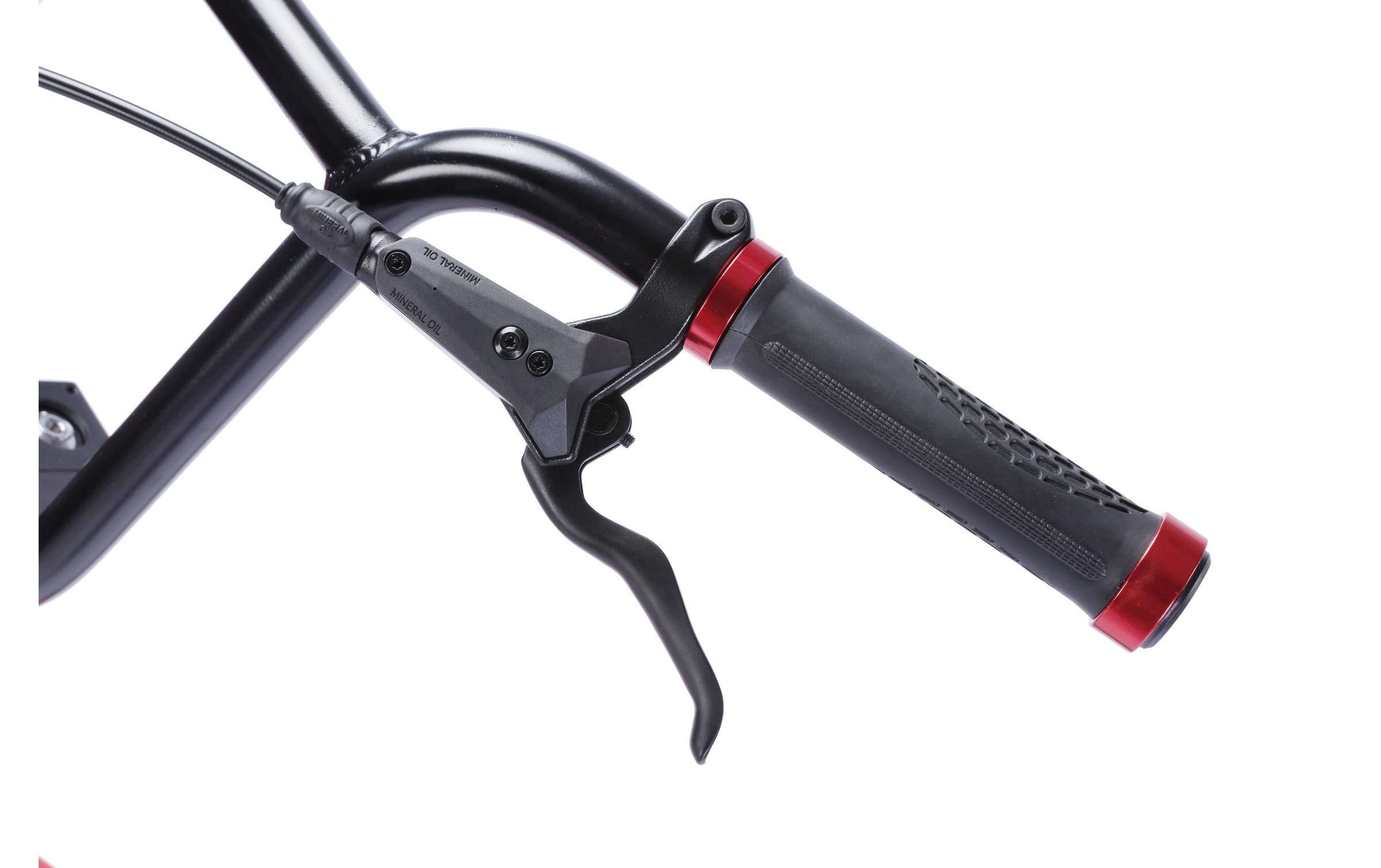 Scooter »Falk II, BODYSWISS«