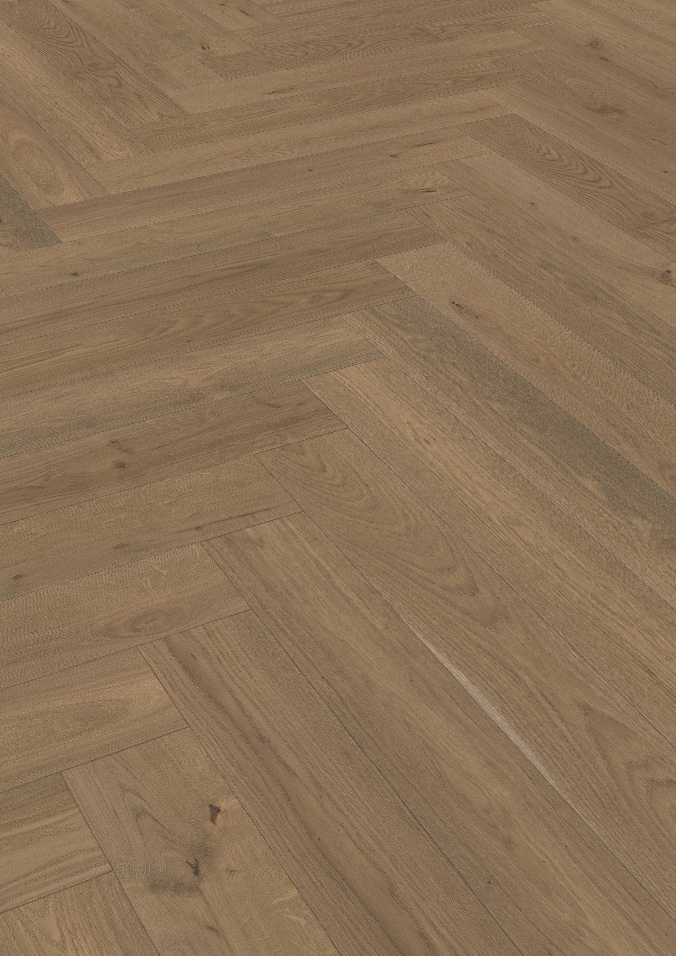Image of ter Hürne Parkett »Eiche terrabraun«, mit fühlbarer Oberfläche bei Ackermann Versand Schweiz