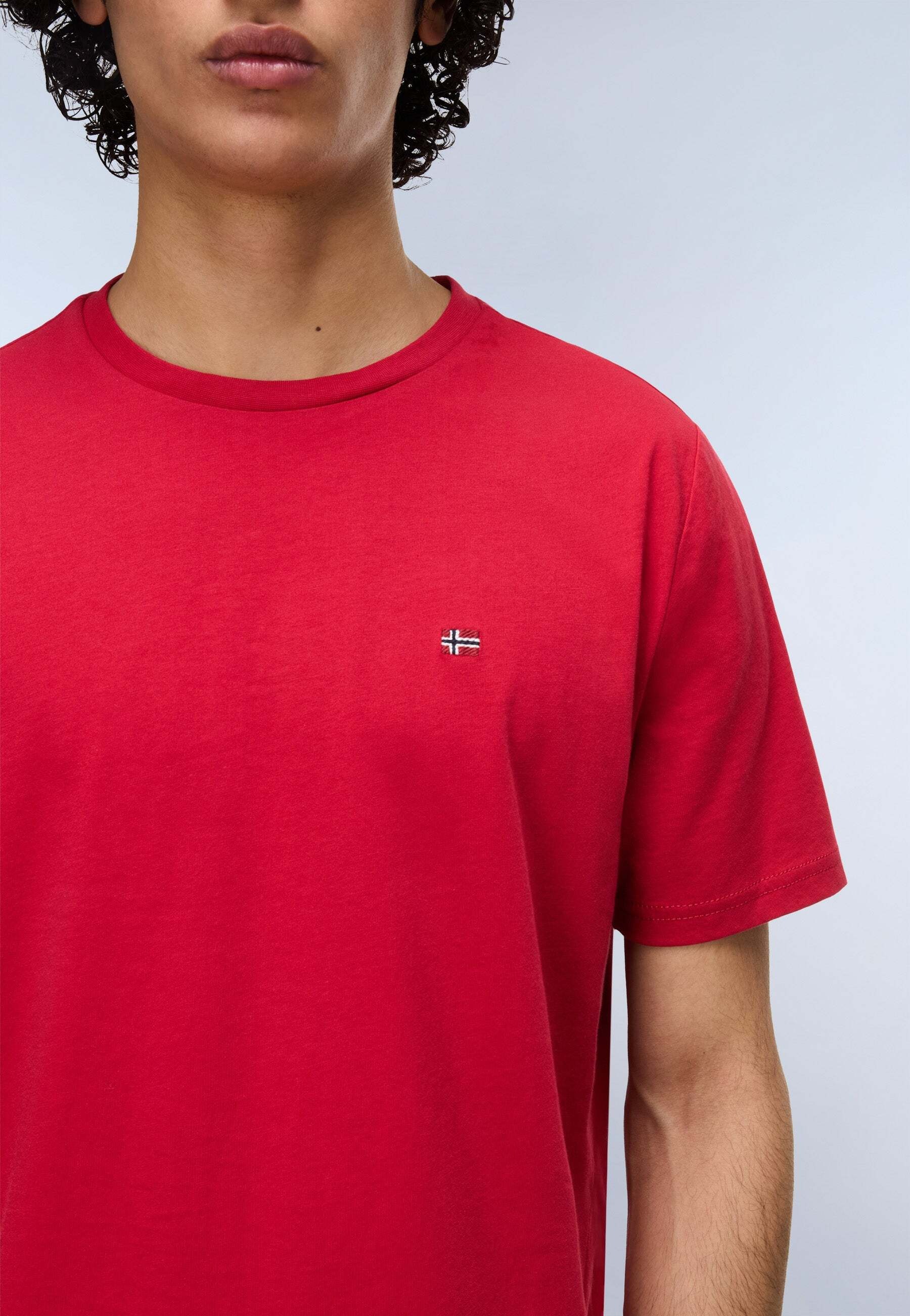 Napapijri T-Shirt »Napapijri T-Shirt SALIS SS«