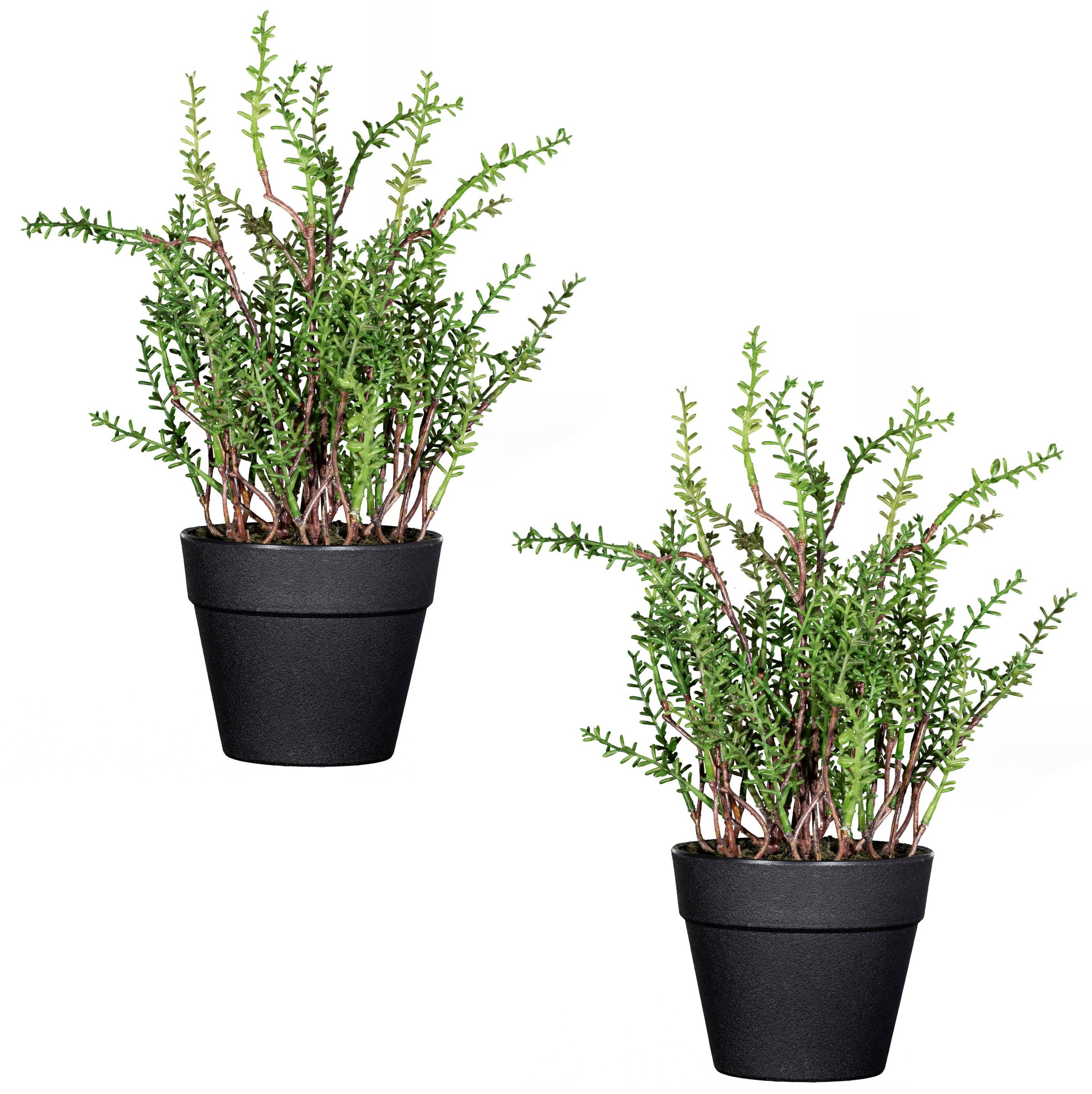 Image of Creativ green Kunstpflanze »Zitronenthymian«, (2 St.), im 2er Set bei Ackermann Versand Schweiz