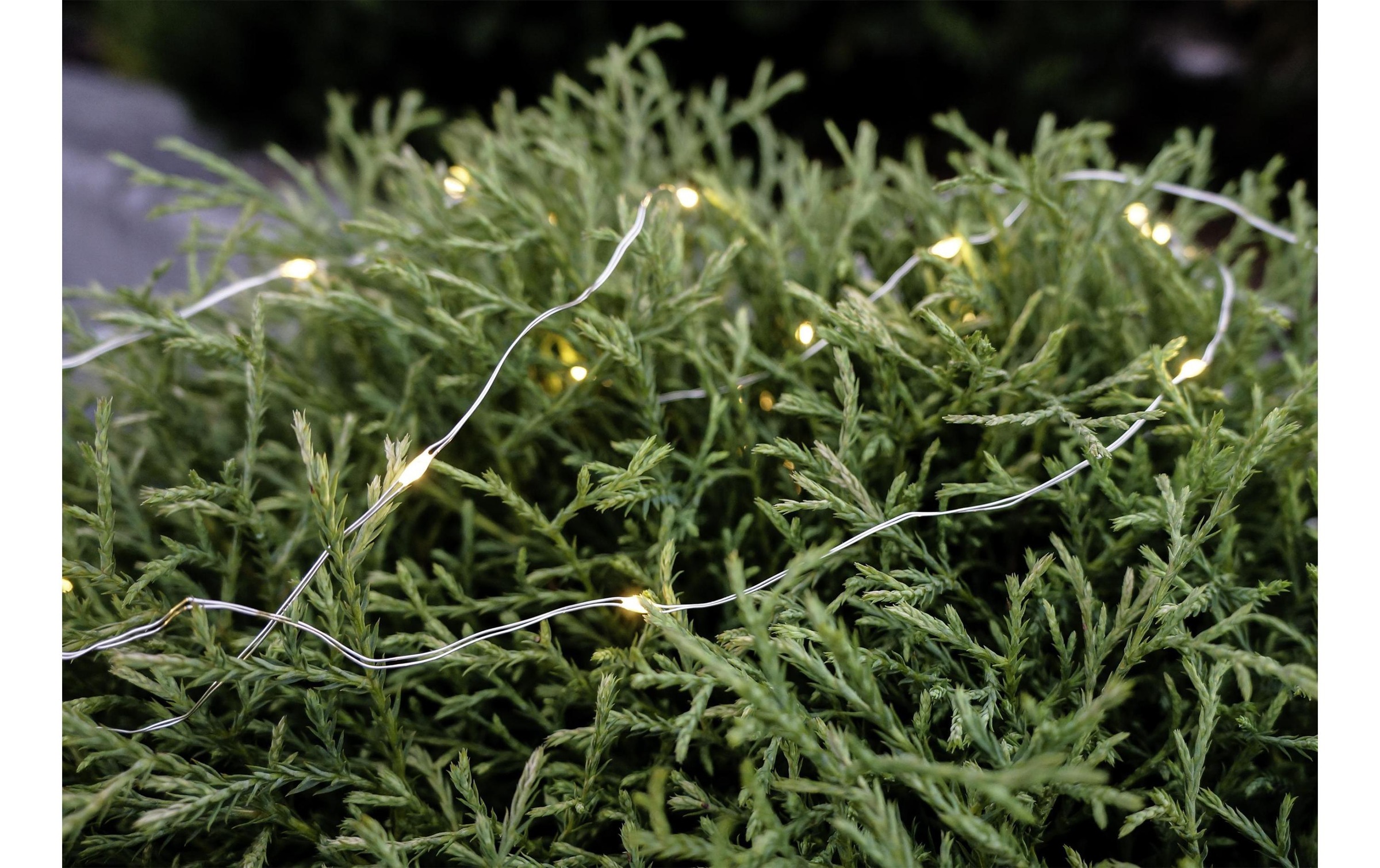 STT Guirlande lumineuse LED »Angel Hair Bouquet 0.6 m 36«