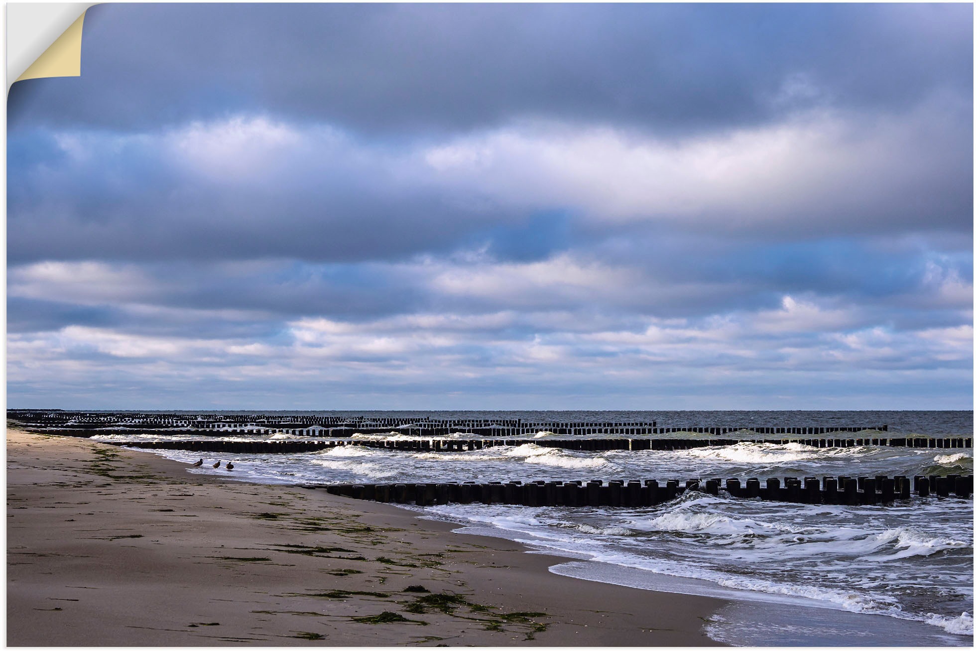 Image of Artland Wandbild »Buhnen an Ostsee auf dem Fischland-Darss«, Küstenbilder, (1 St.), in vielen Grössen & Produktarten - Alubild / Outdoorbild für den Aussenbereich, Leinwandbild, Poster, Wandaufkleber / Wandtattoo auch für Badezimmer geeignet bei Ackermann