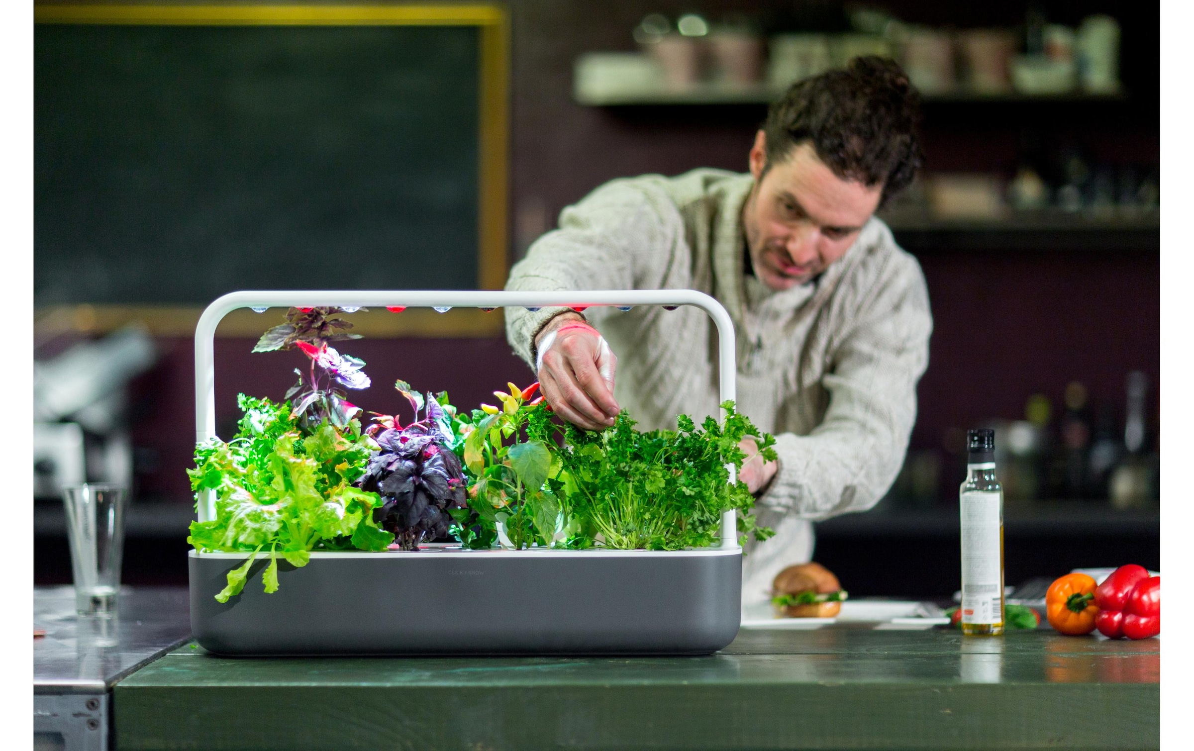 Click and Grow Kräutertopf »Smart Garden 9 Dunkelgrau«