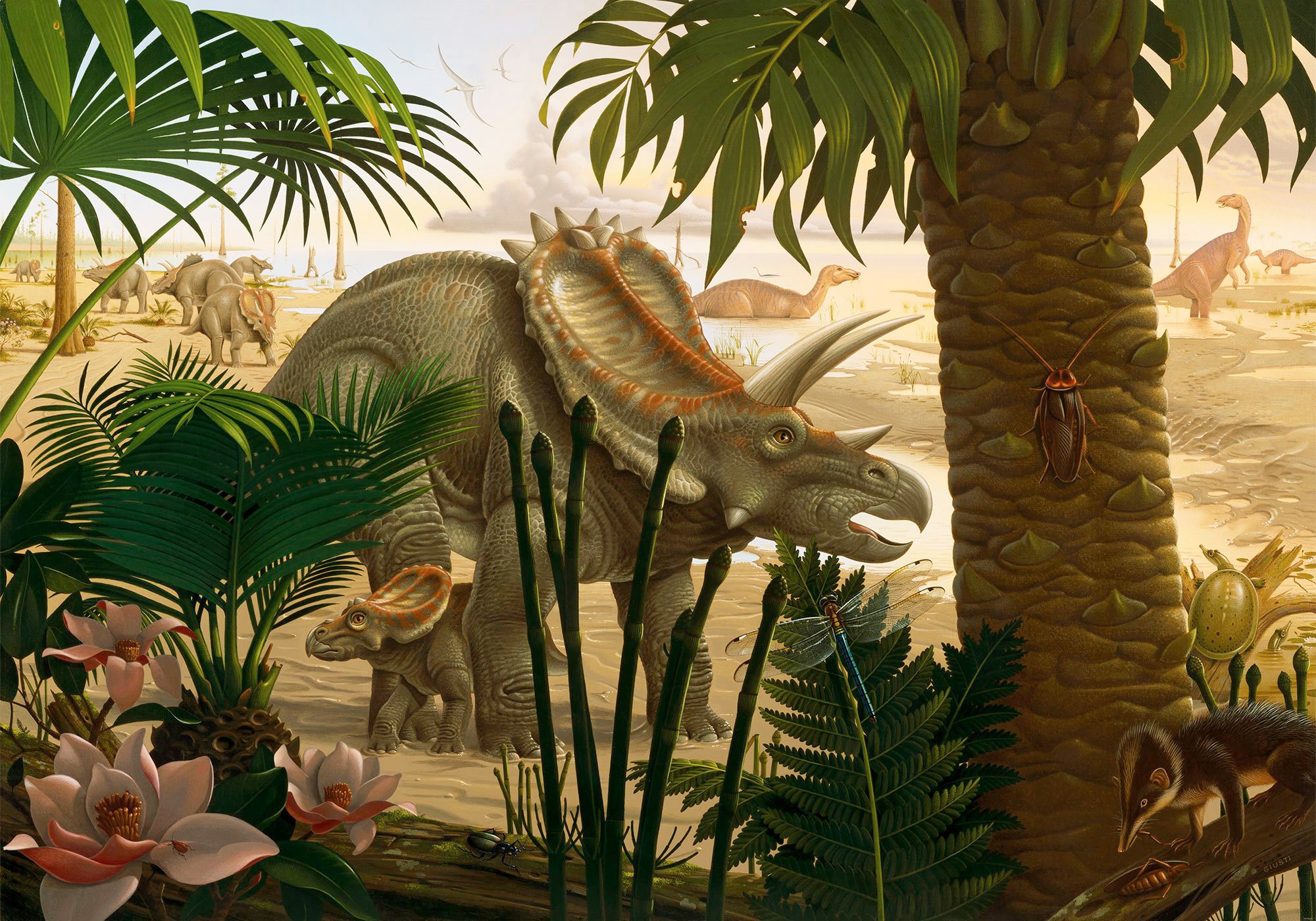 Image of Komar Fototapete »Anchieratops Jungle«, bedruckt-Comic-Retro-mehrfarbig, BxH: 400x280 cm bei Ackermann Versand Schweiz