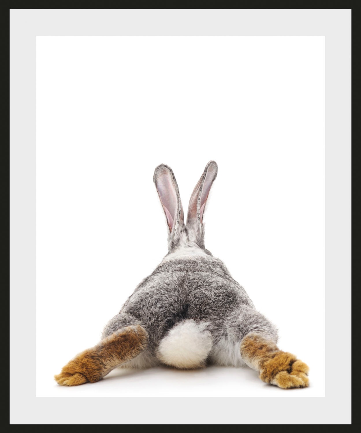 Image of queence Bild »Bunny Tail«, Hase, (1 St.) bei Ackermann Versand Schweiz