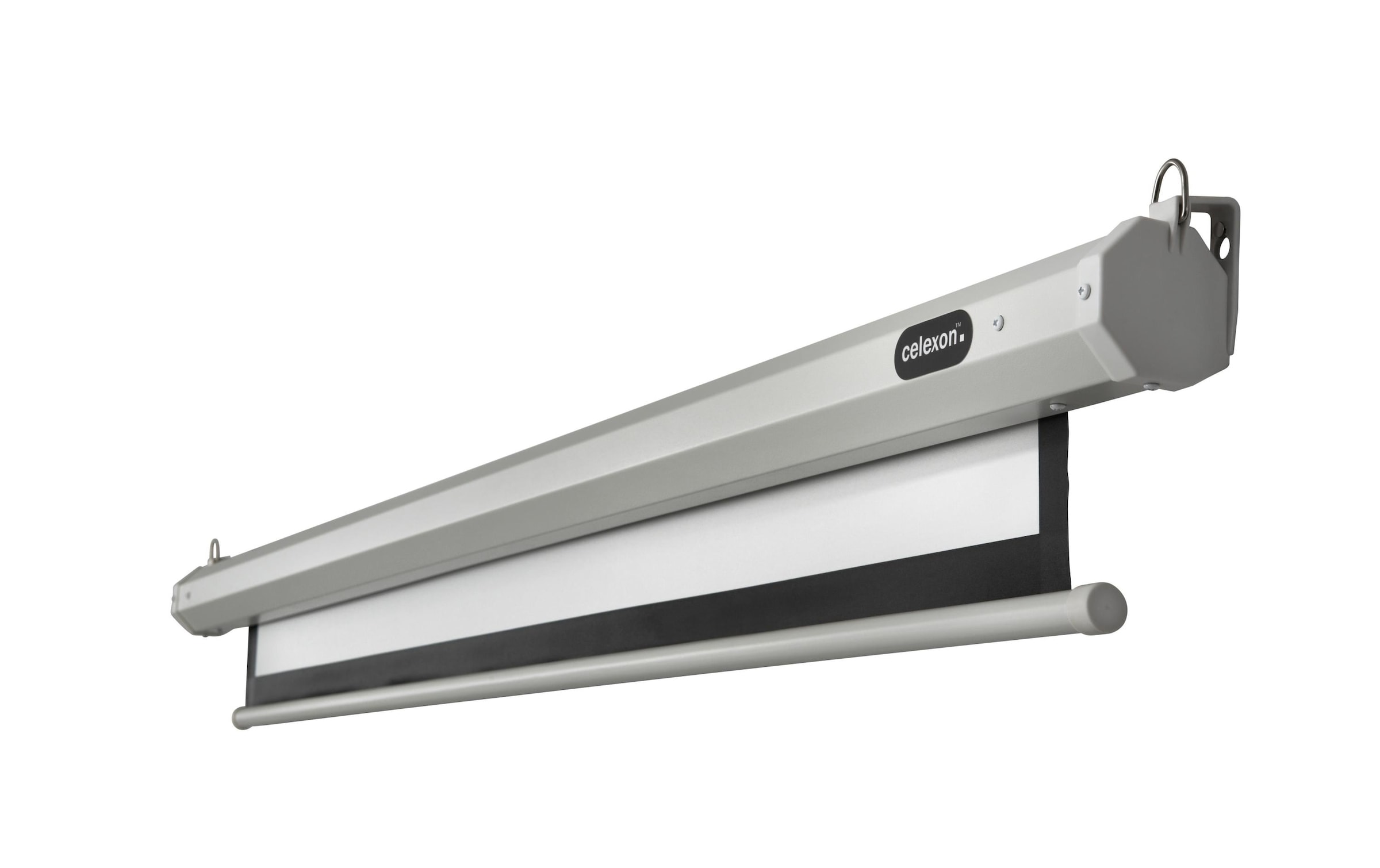 Celexon Motorleinwand »Eco 240x135cm«