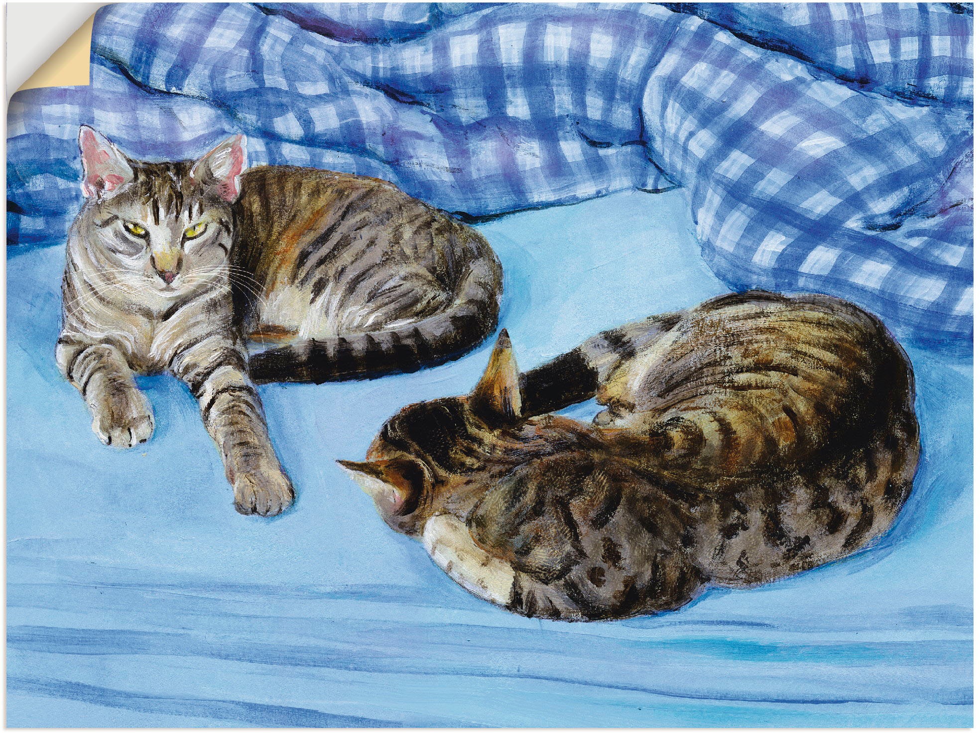 Image of Artland Wandbild »Katzenpaar«, Haustiere, (1 St.), in vielen Grössen & Produktarten -Leinwandbild, Poster, Wandaufkleber / Wandtattoo auch für Badezimmer geeignet bei Ackermann Versand Schweiz