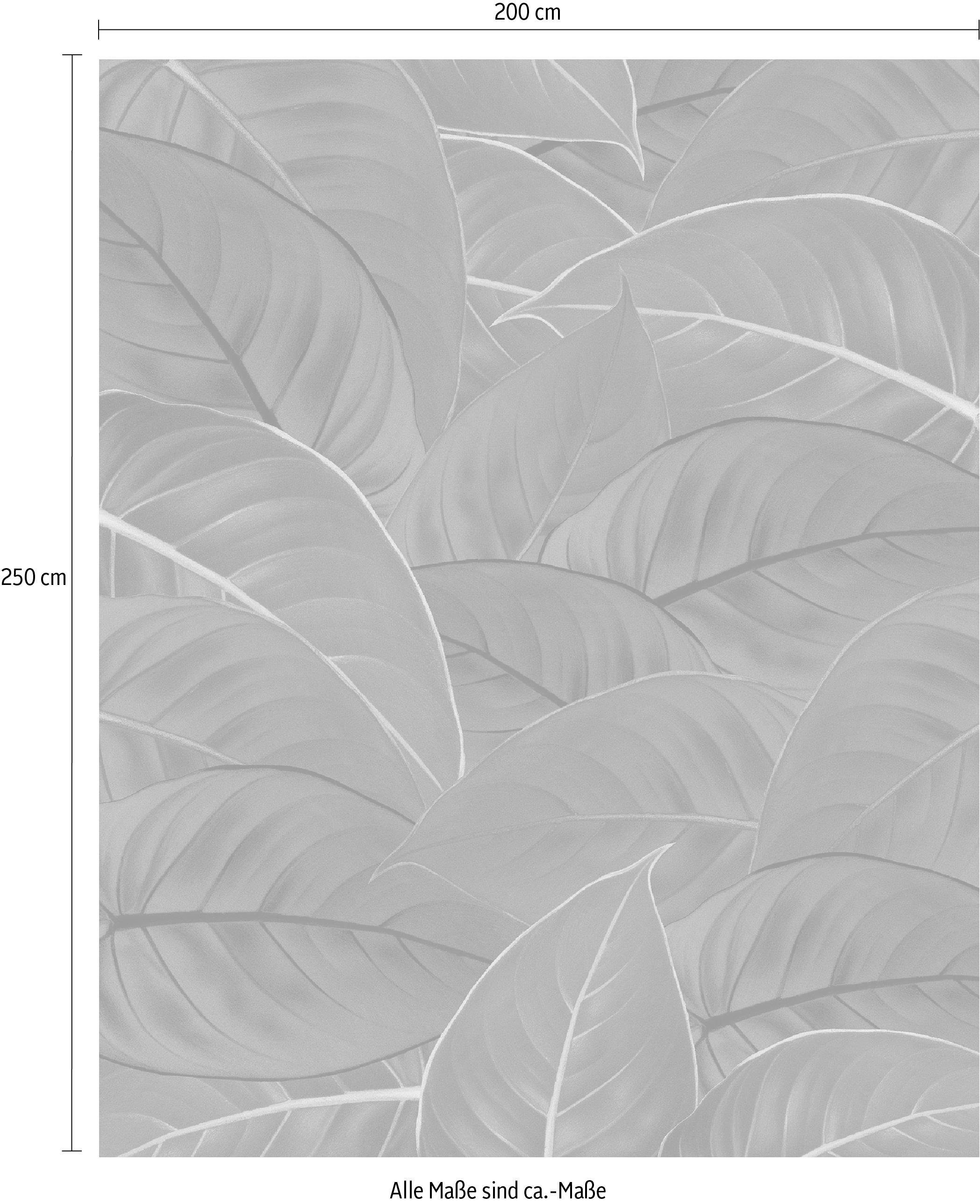 Komar Vliestapete »Digitaldruck Vlies -  Foliage - Grösse 200 x 250 cm« bedruckt glatt Wohnzimmer, Schlafzimmer