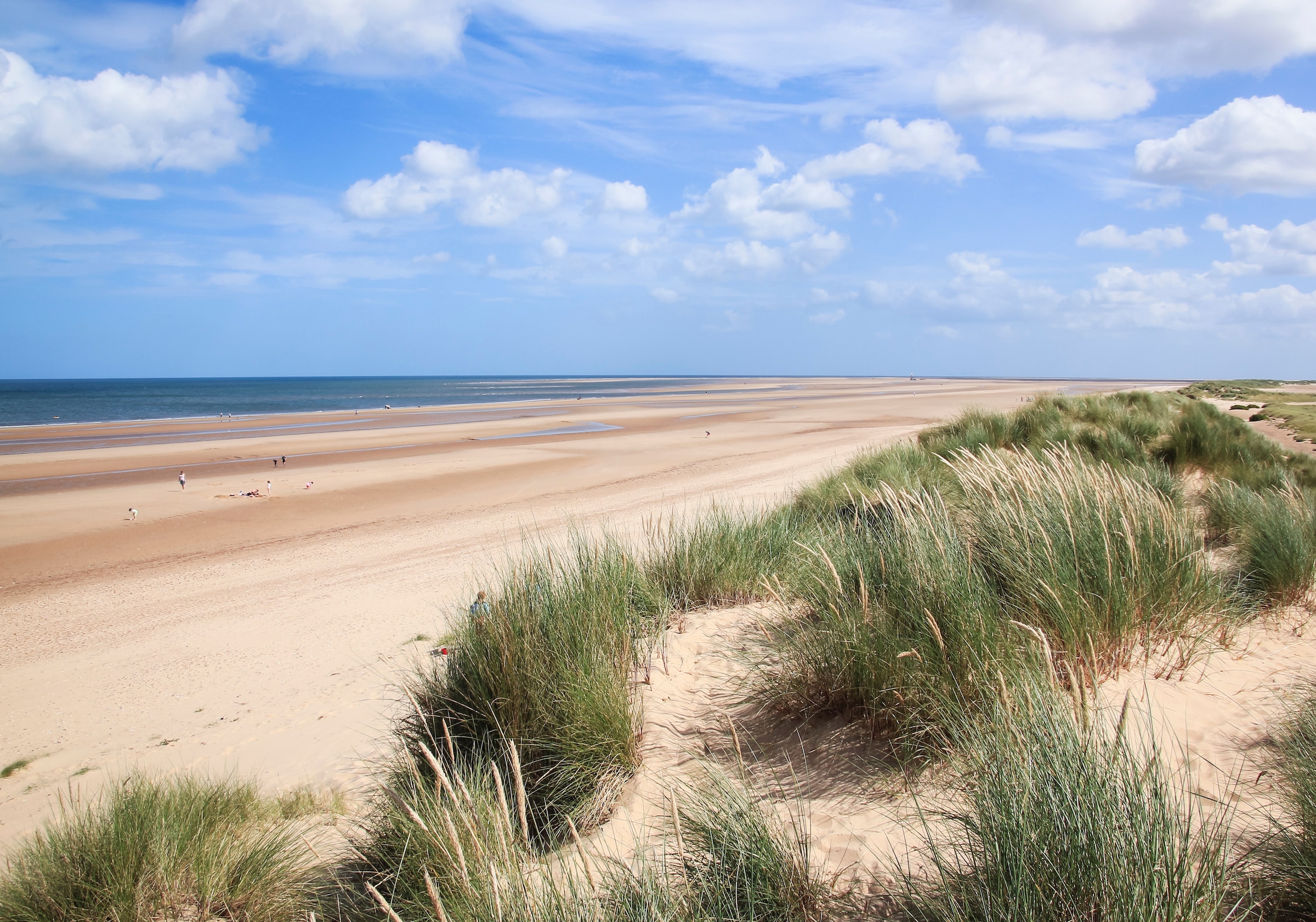 Image of Papermoon Fototapete "Dunes in Holkham" glatt