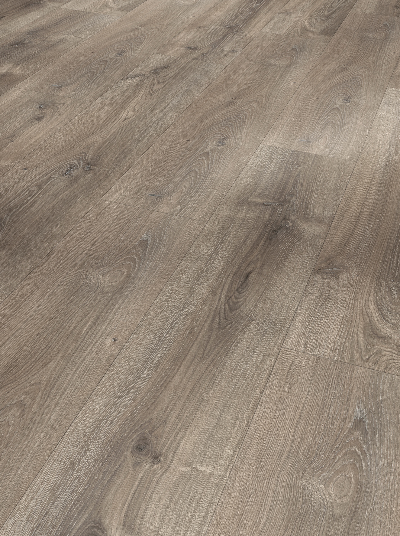Image of PARADOR Laminat »Basic 600 breite Landhausdiele Eiche Valere dunkel-gekälkt«, (Set), Naturstruktur, Verlegefläche: 2,19 m², matt, für Fussbodenheizung geeignet bei Ackermann Versand Schweiz