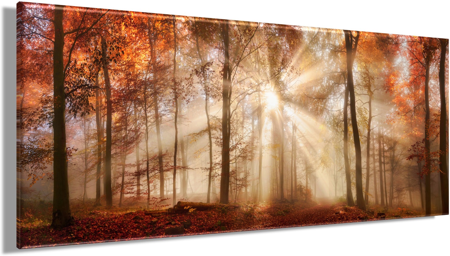 Bönninghoff Tableau sur toile »Wandbild HERBSTWALD XXL 60x140 cm – Leinwandbild Keilrahmen Deko« Forêt 1 cuis tlg. tendu sur châssis