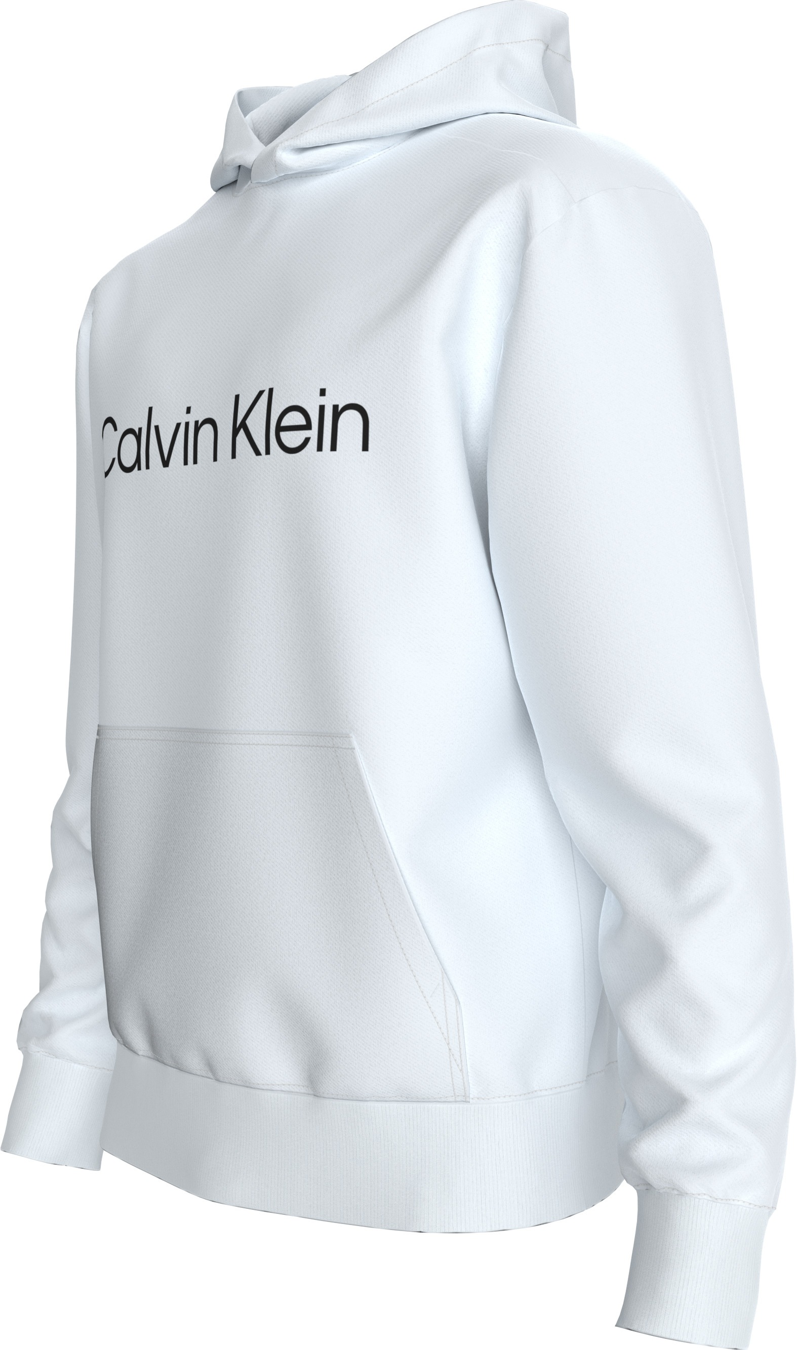 Calvin Klein Sweat à capuche »LS EU STANDARD LOGO 350TERRY PO«, Mit Rundhalsausschnitt, regular fit
