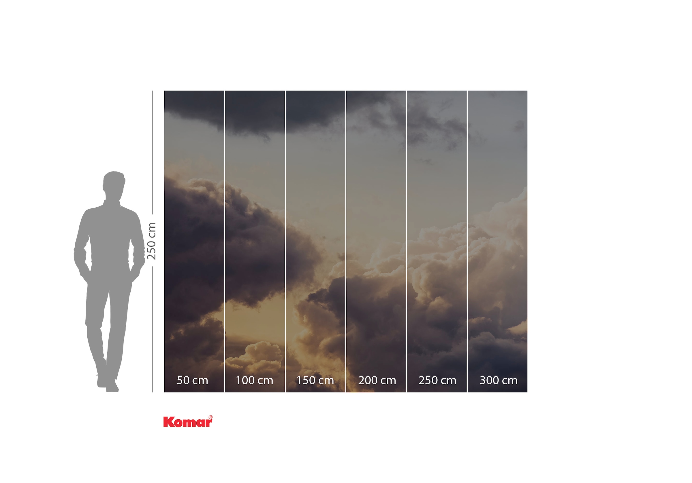 Komar Fototapete »Digitaldruck Vlies - Cloud Cast - Grösse 300 x 250 cm«, bedruckt-floral-geblümt-gemustert-tropisch, Wohnzimmer, Schlafzimmer