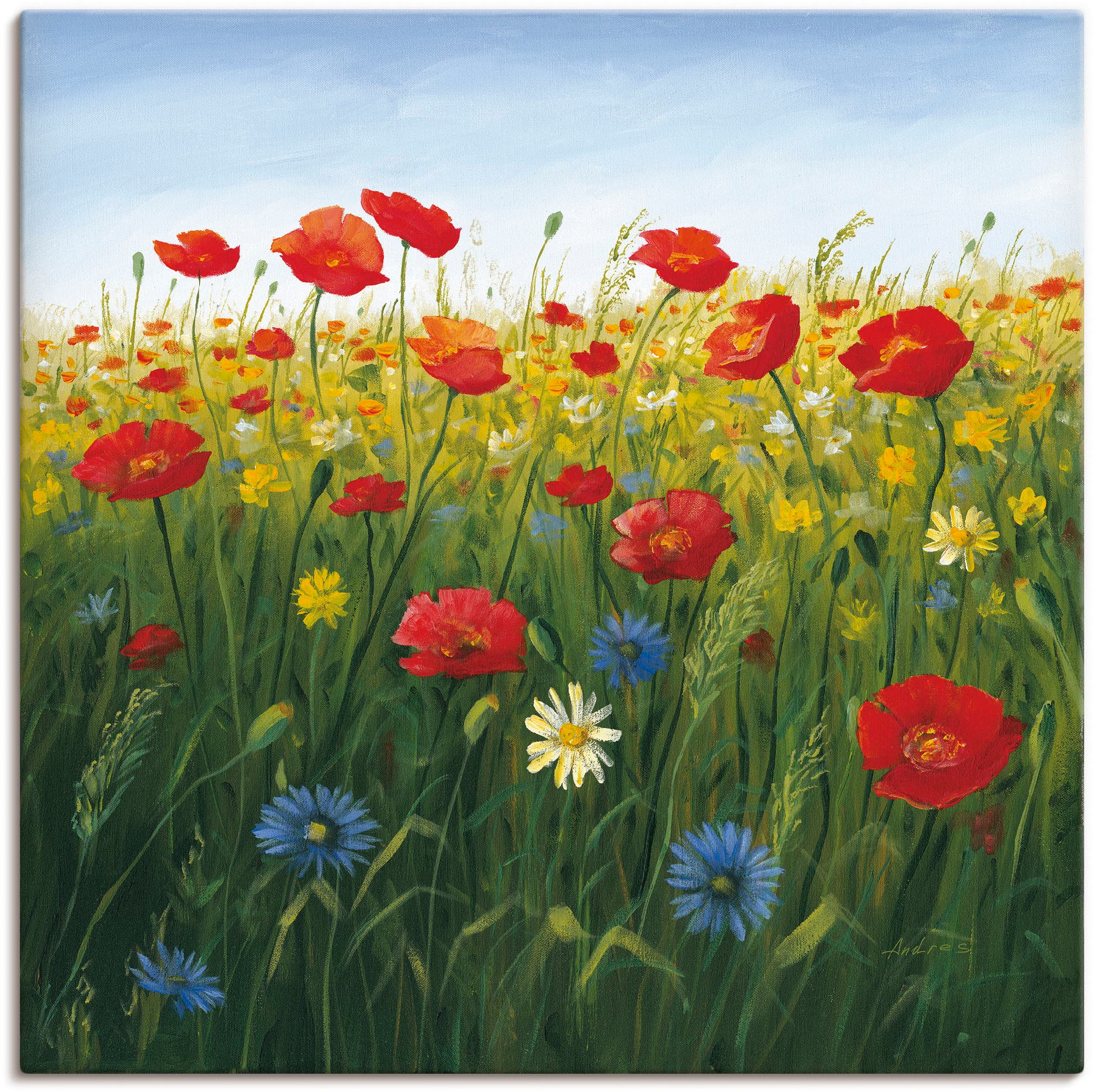 Image of Artland Wandbild »Mohnblumen Landschaft I«, Blumenwiese, (1 St.), in vielen Grössen & Produktarten - Alubild / Outdoorbild für den Aussenbereich, Leinwandbild, Poster, Wandaufkleber / Wandtattoo auch für Badezimmer geeignet bei Ackermann Versand Schweiz