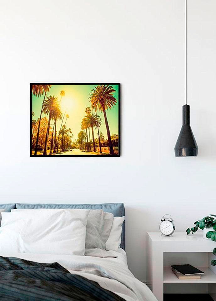 Komar Bild »Palm Alley« Städte 1 Stk. tlg. Wandbild zur Dekoration - ohne Rahmen