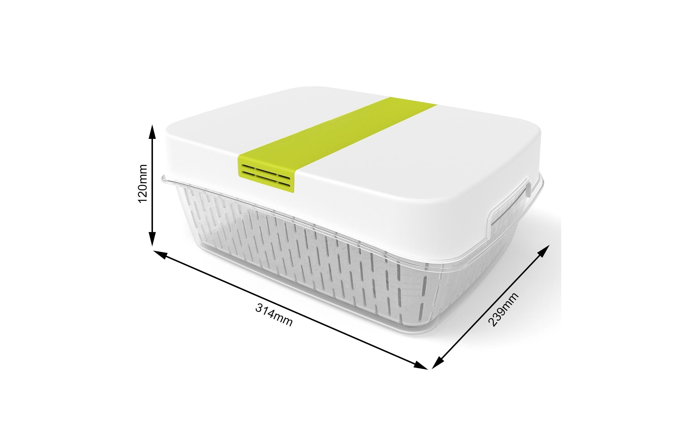 ROTHO Vorratsdose »Box Fresh Lime 45022 Liter«, (1 tlg.)