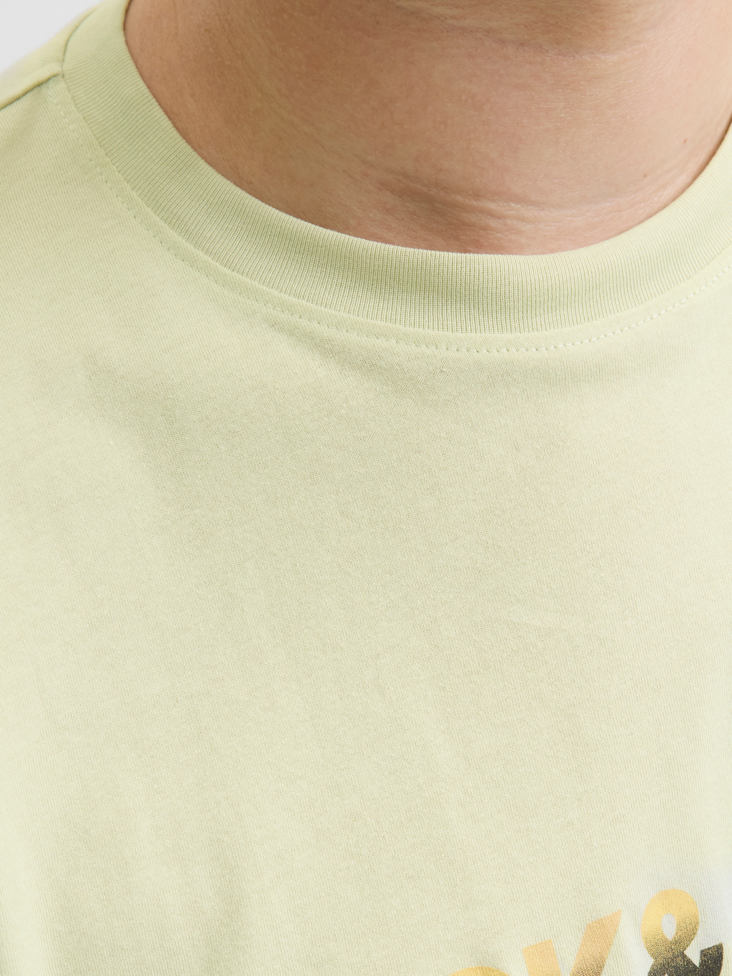 Jack & Jones PlusSize Print-Shirt »JORCANGGU TEE SS CREW NECK FST PLS«, mit Logo Print