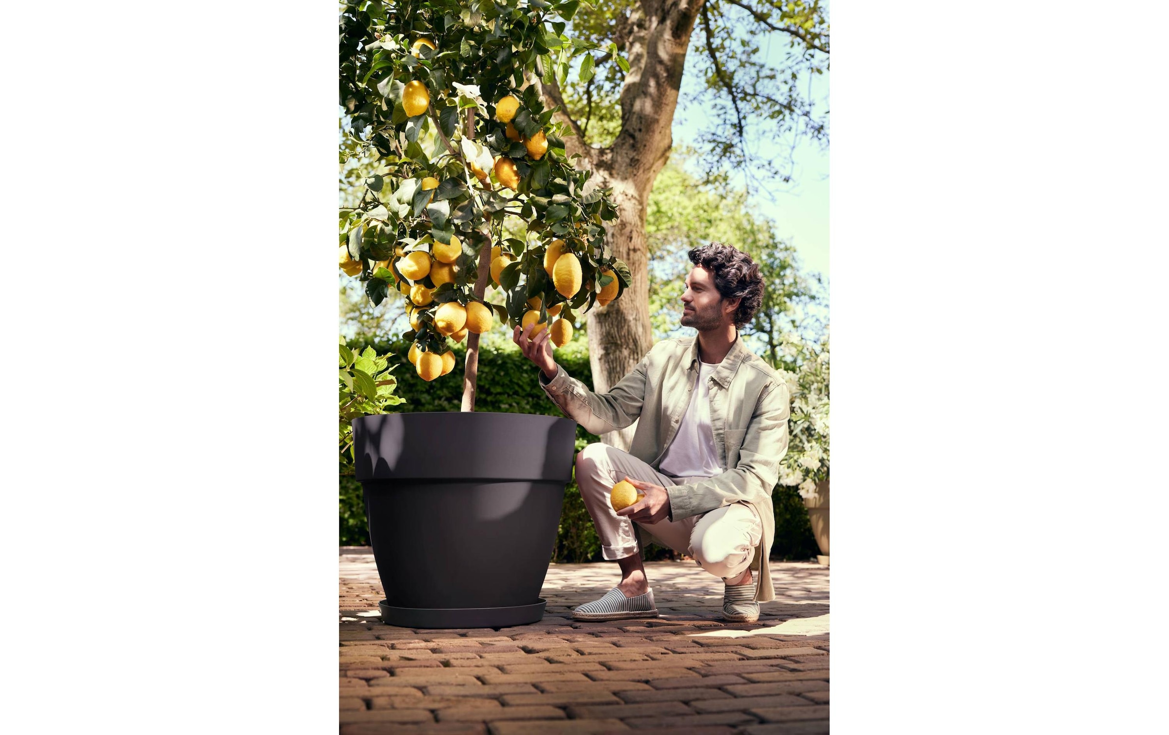 Elho Blumentopf »Vibia Campana Rund 65 cm«